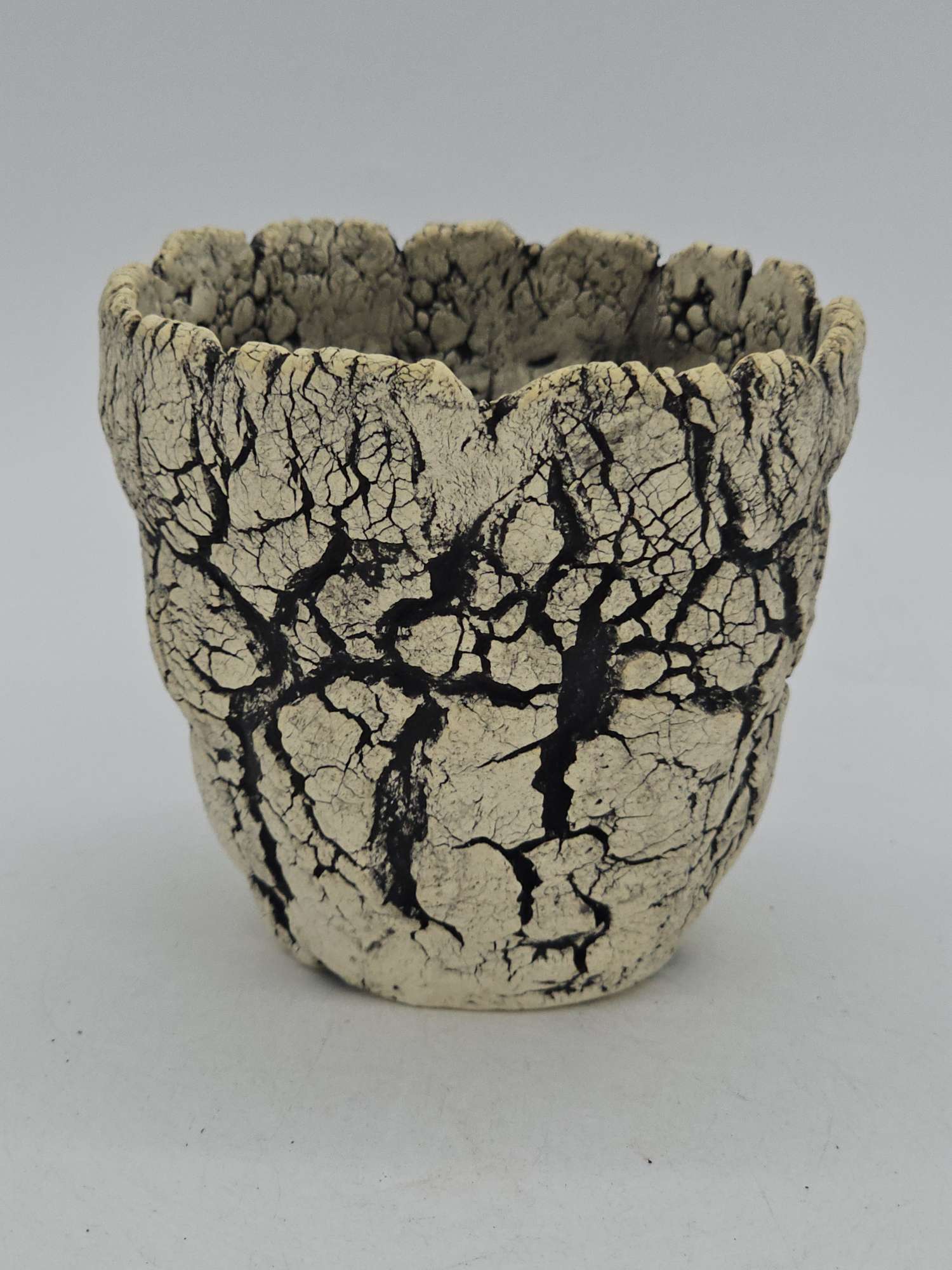 Cooked Earth