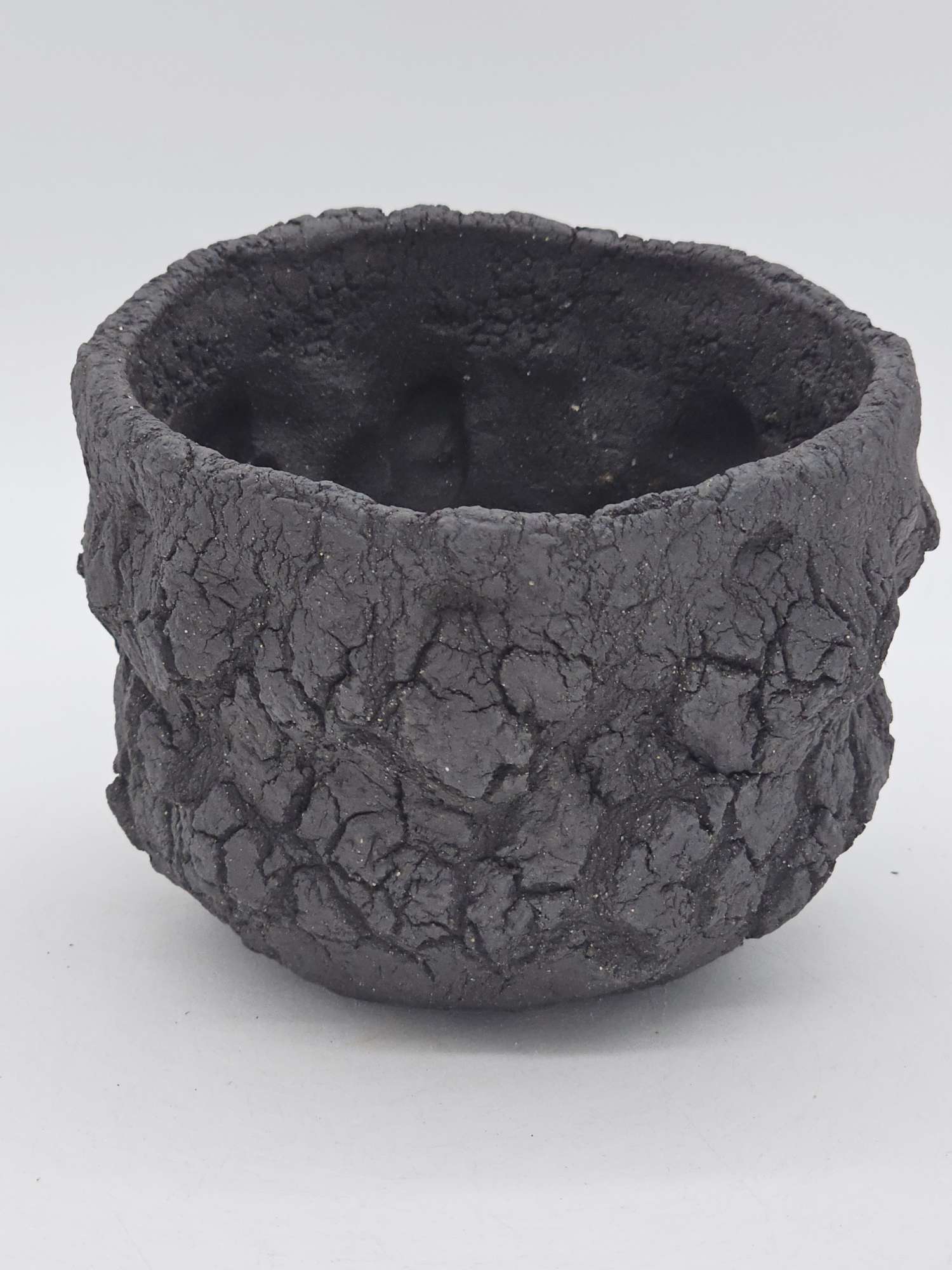 Cooked Earth