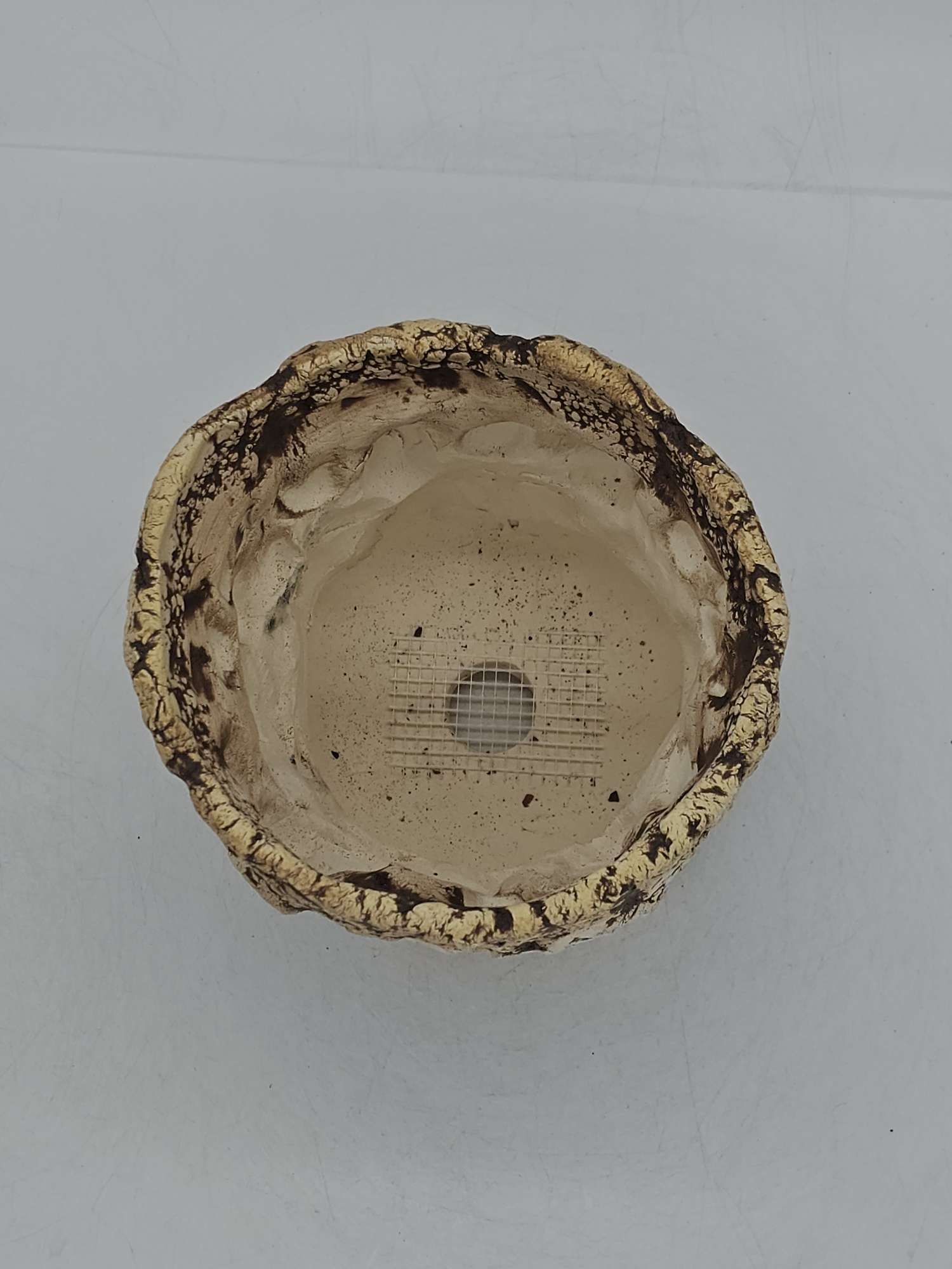 Cooked Earth