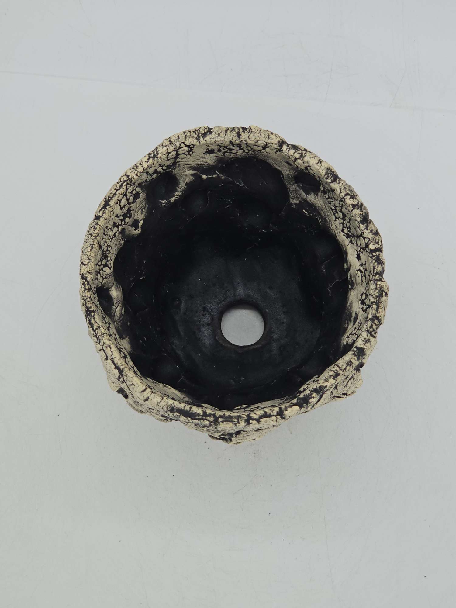 Cooked Earth