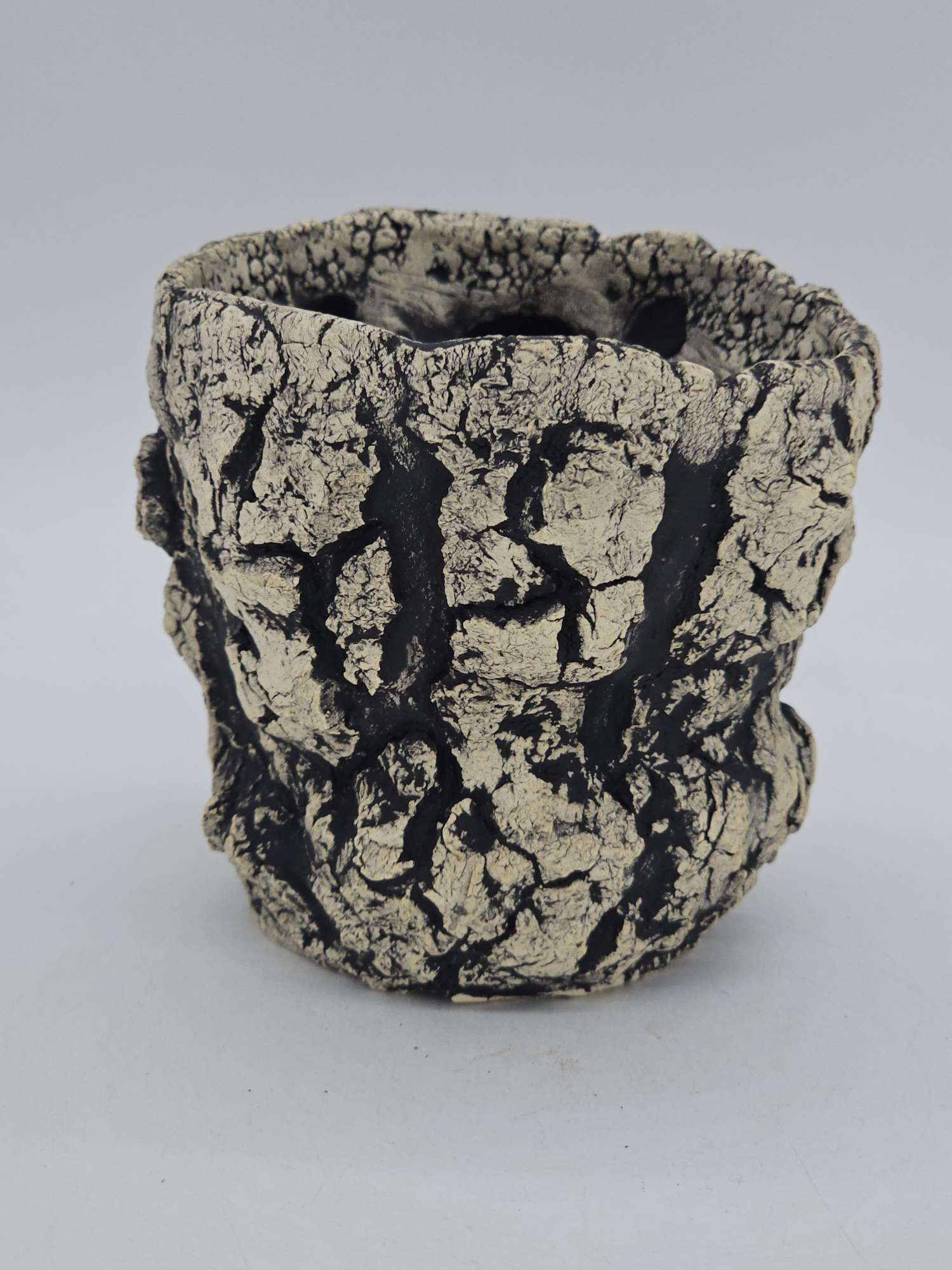 Cooked Earth