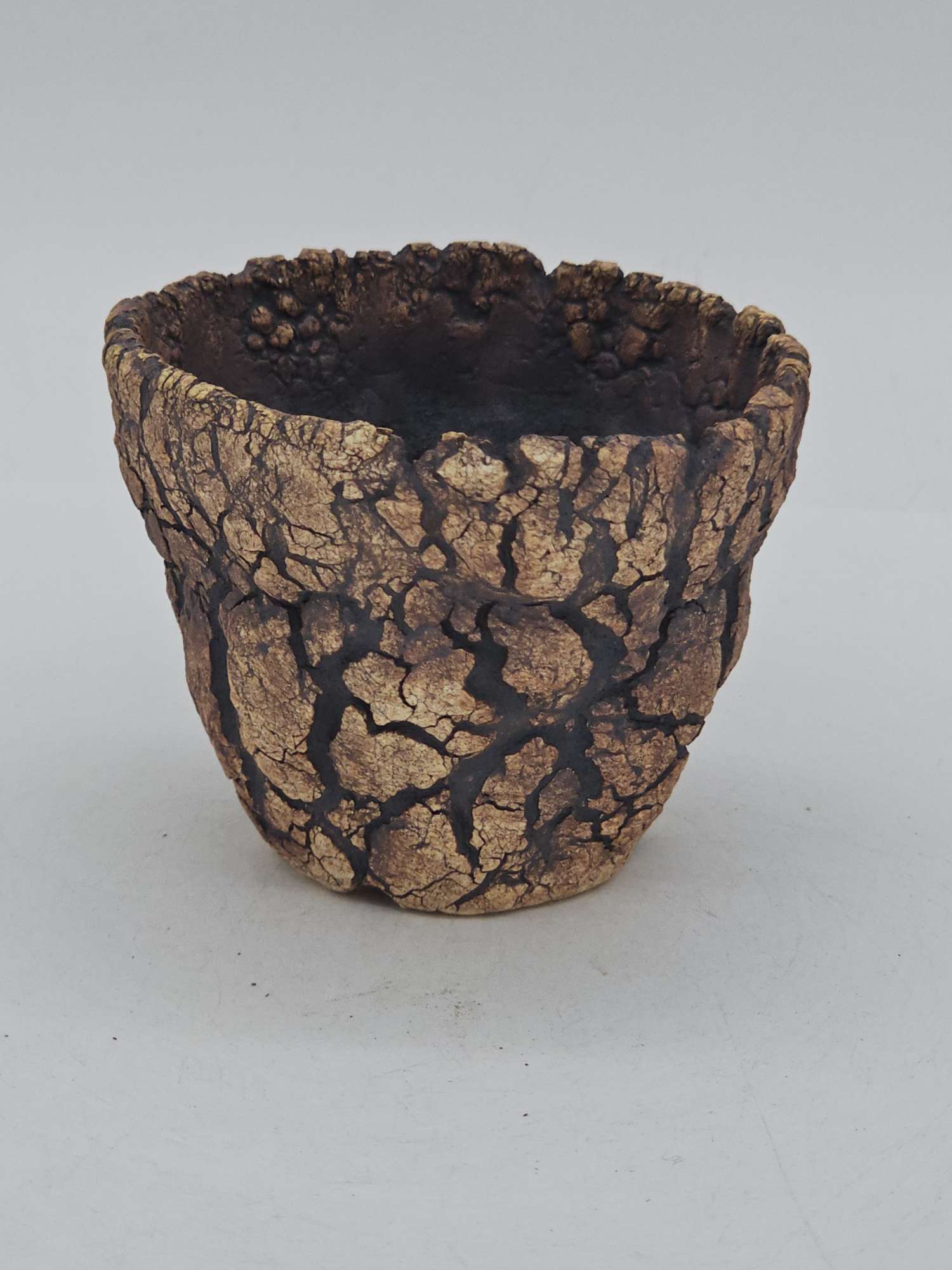 Cooked Earth