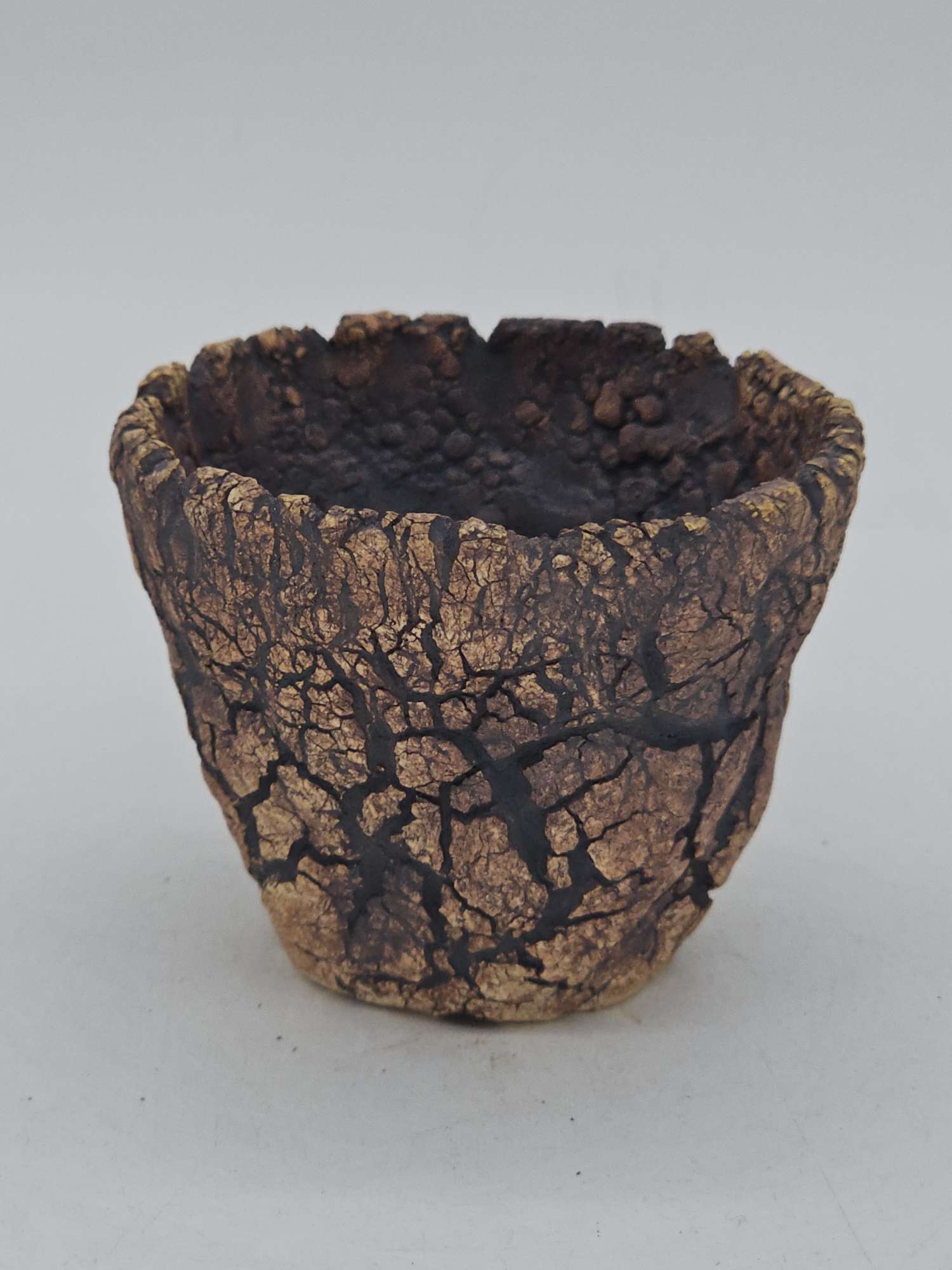 Cooked Earth