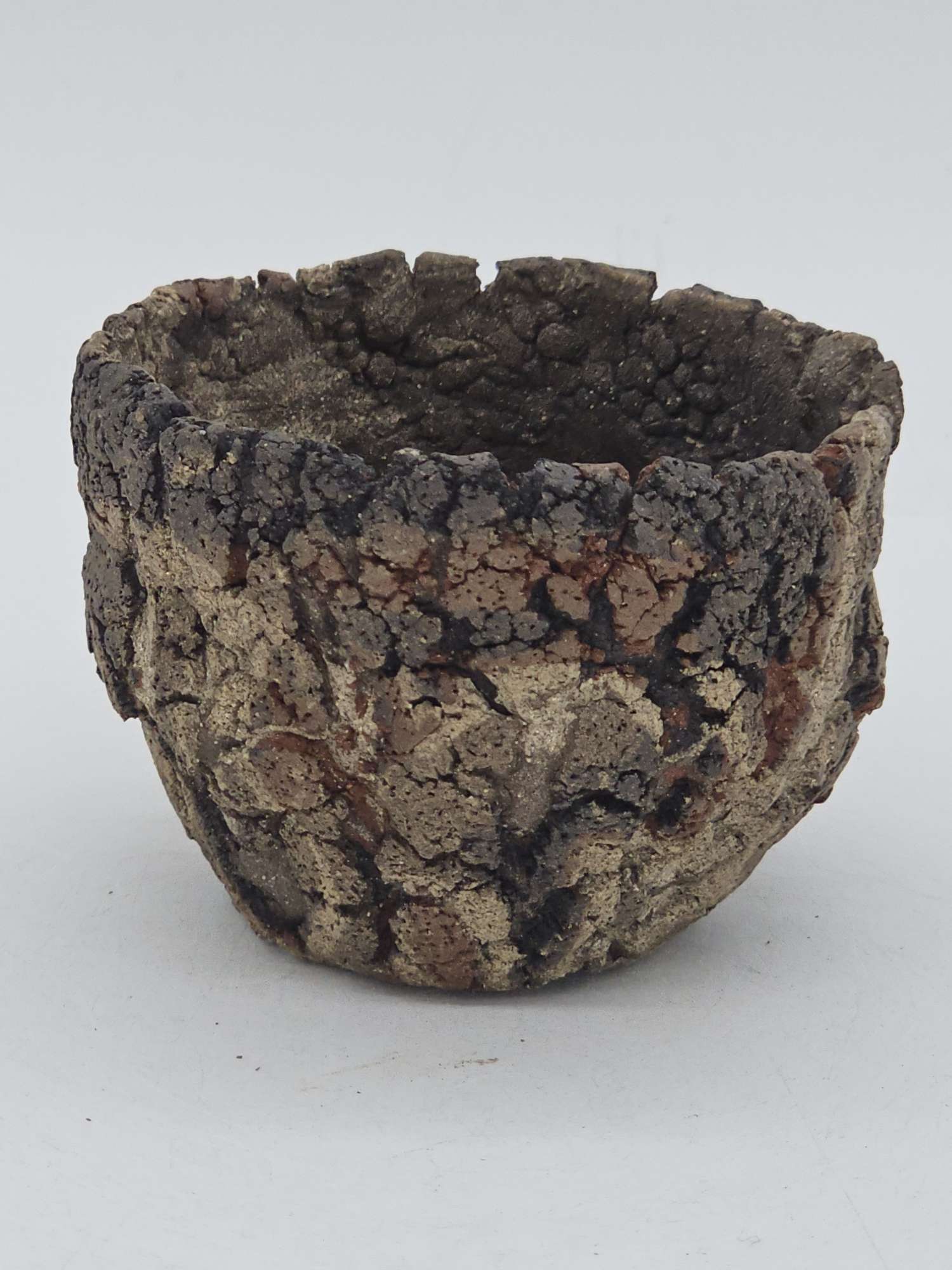 Cooked Earth