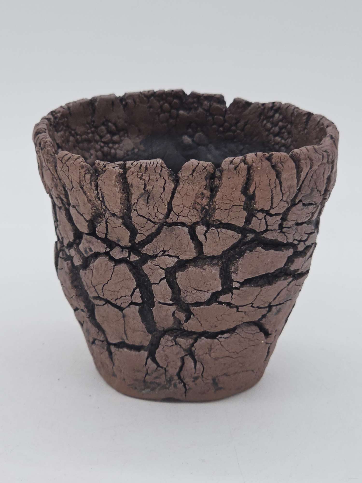 Cooked Earth