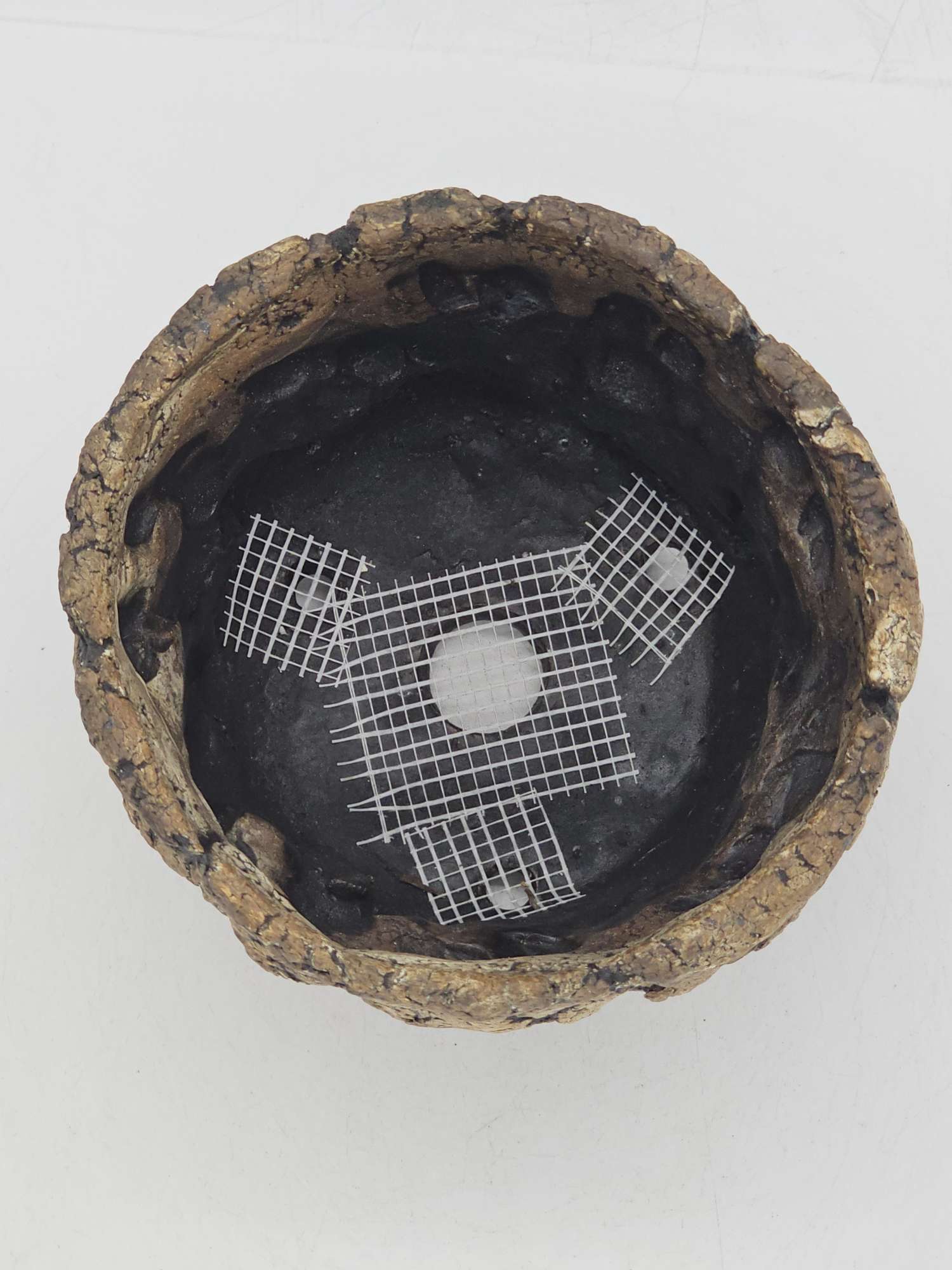 Cooked Earth