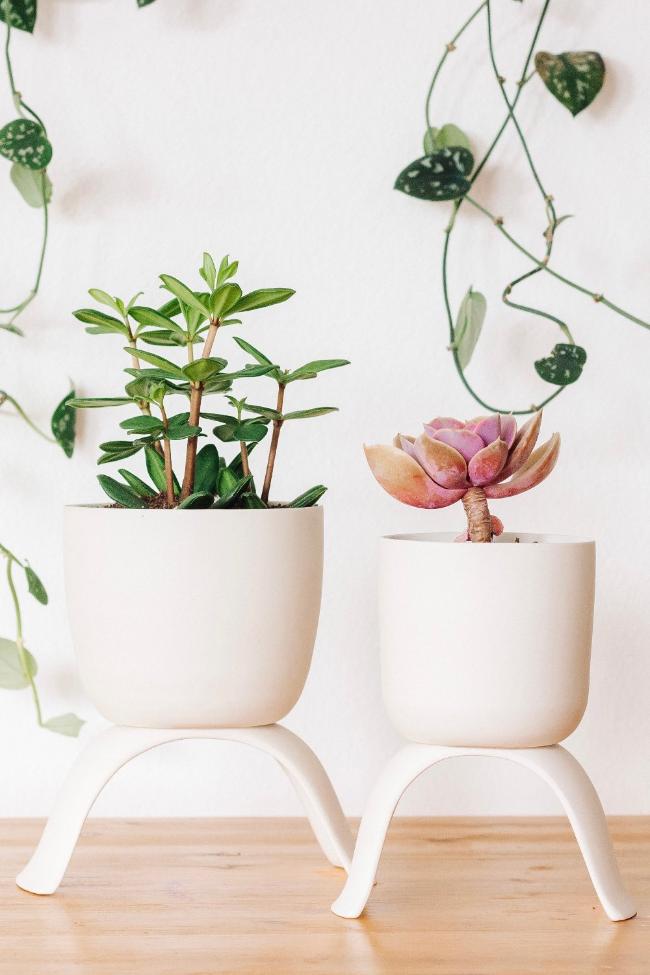 Ceramic Footed Plant Pots