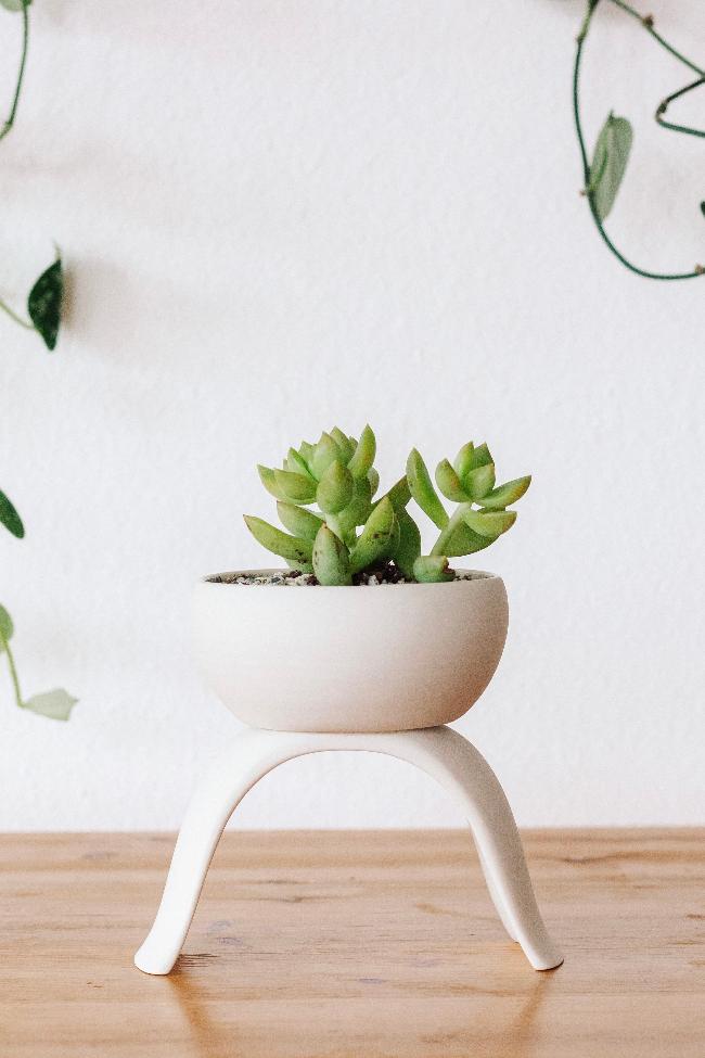 Ceramic Footed Plant Pots