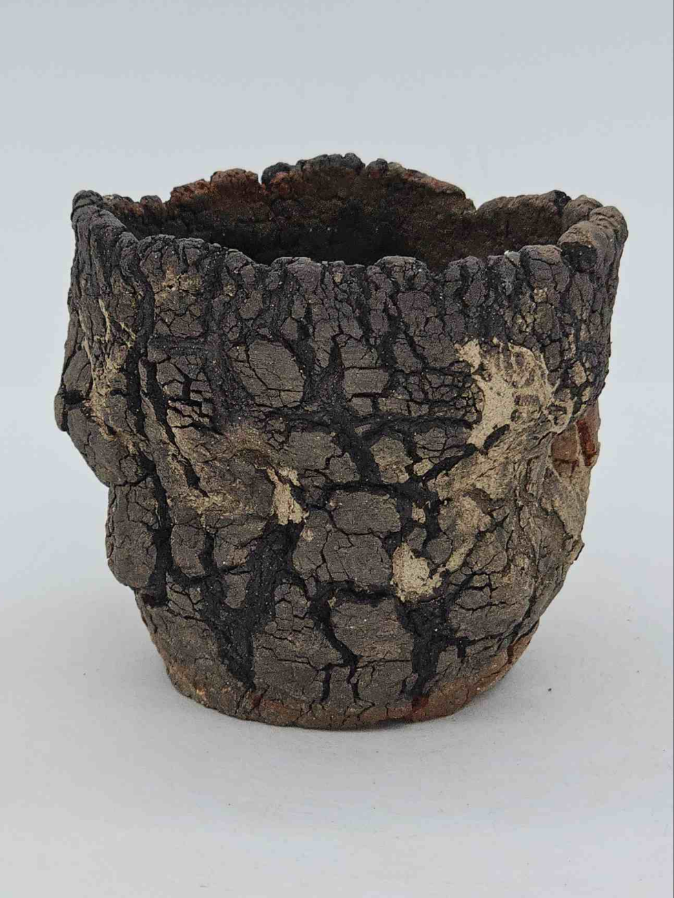Cooked Earth