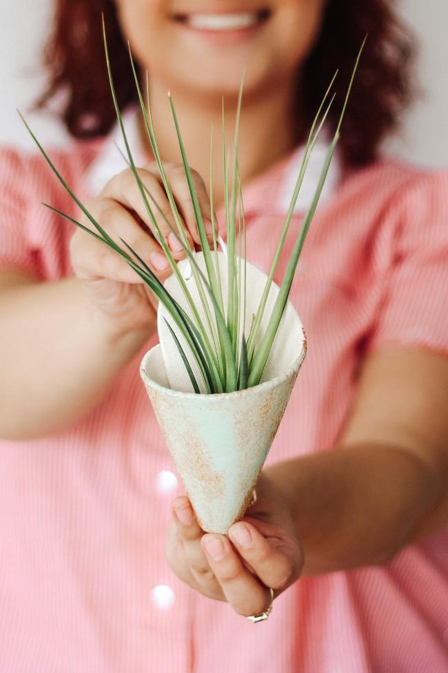 Medium Ceramic Wall Planter