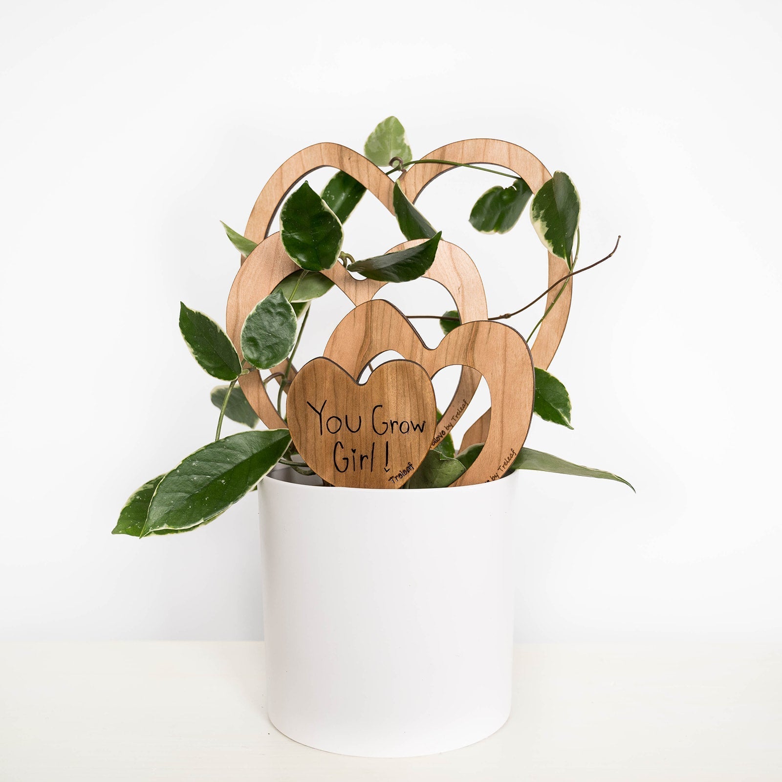 Trellove - Plant trellis inspired by Hoya Kerrii - 4 nested heart-shaped trellises + heart label