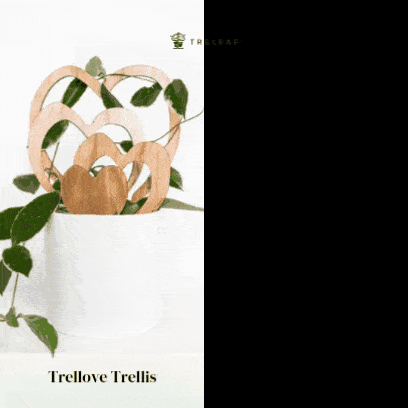 Trellove - Plant trellis inspired by Hoya Kerrii - 4 nested heart-shaped trellises + heart label