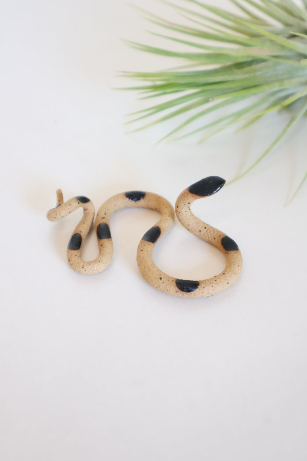 Carter + Rose, Baby Snakes