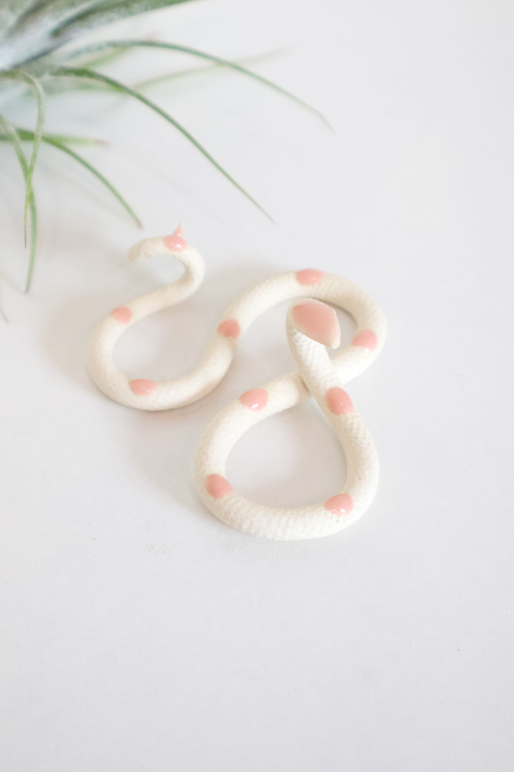 Carter + Rose, Baby Snakes