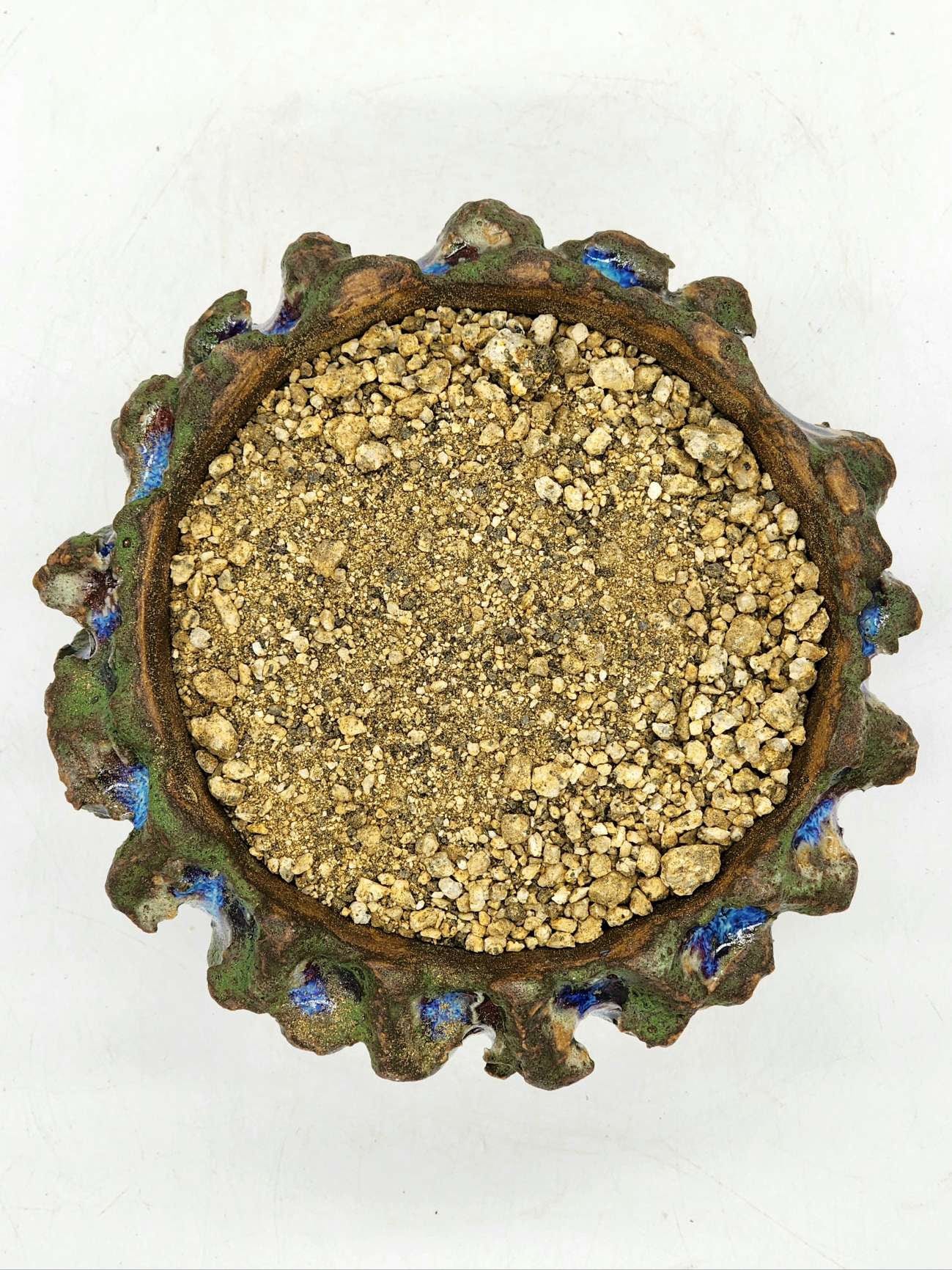 Desert Gold Sand Decomposed Granite Soil Topper - 2.5LB Bag