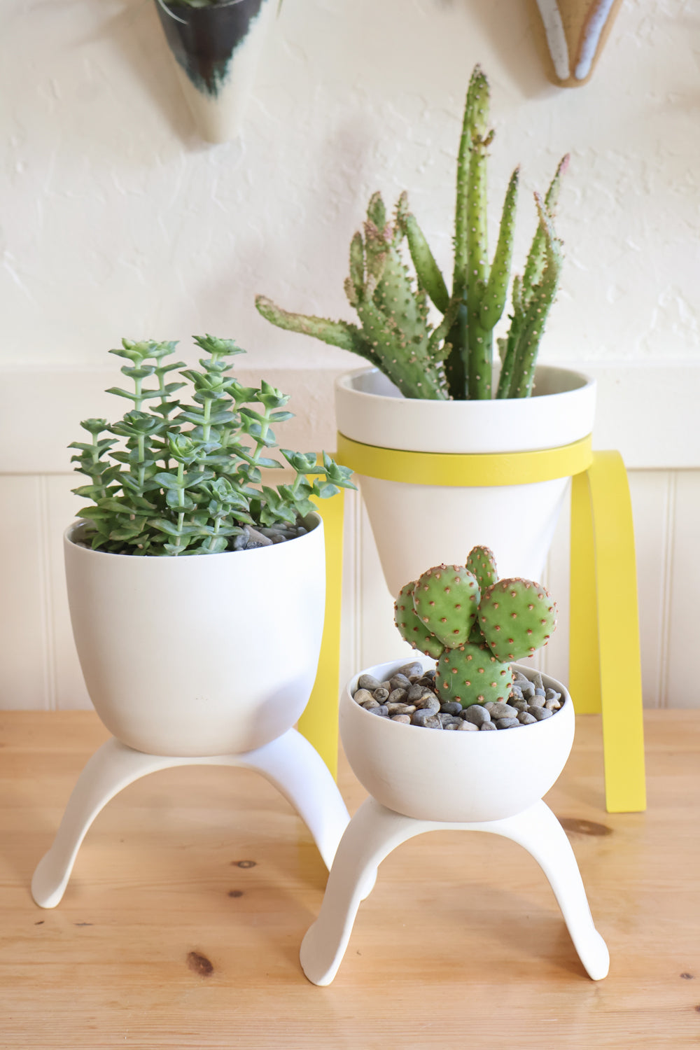 Ceramic Footed Plant Pots