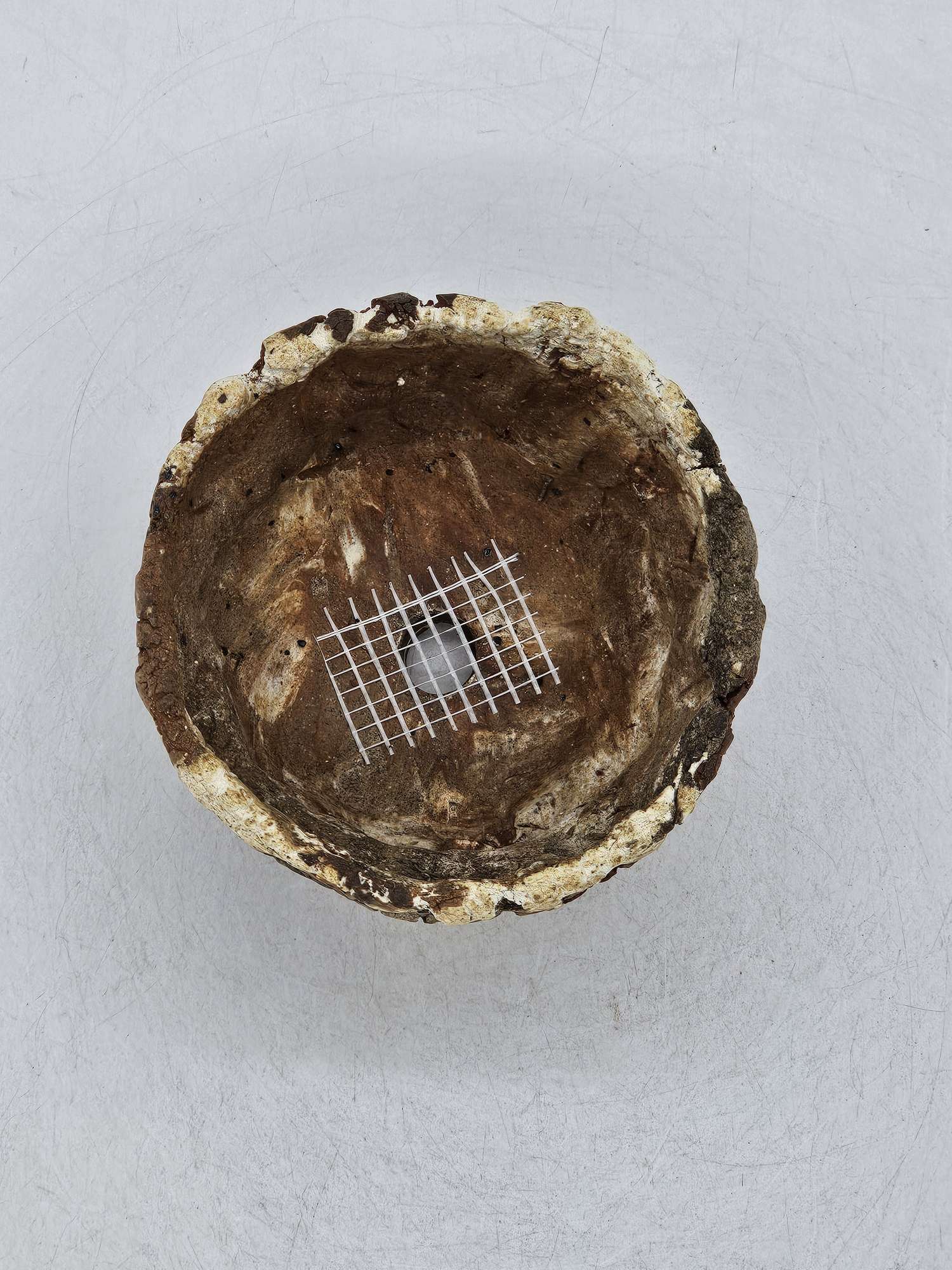 Cooked Earth