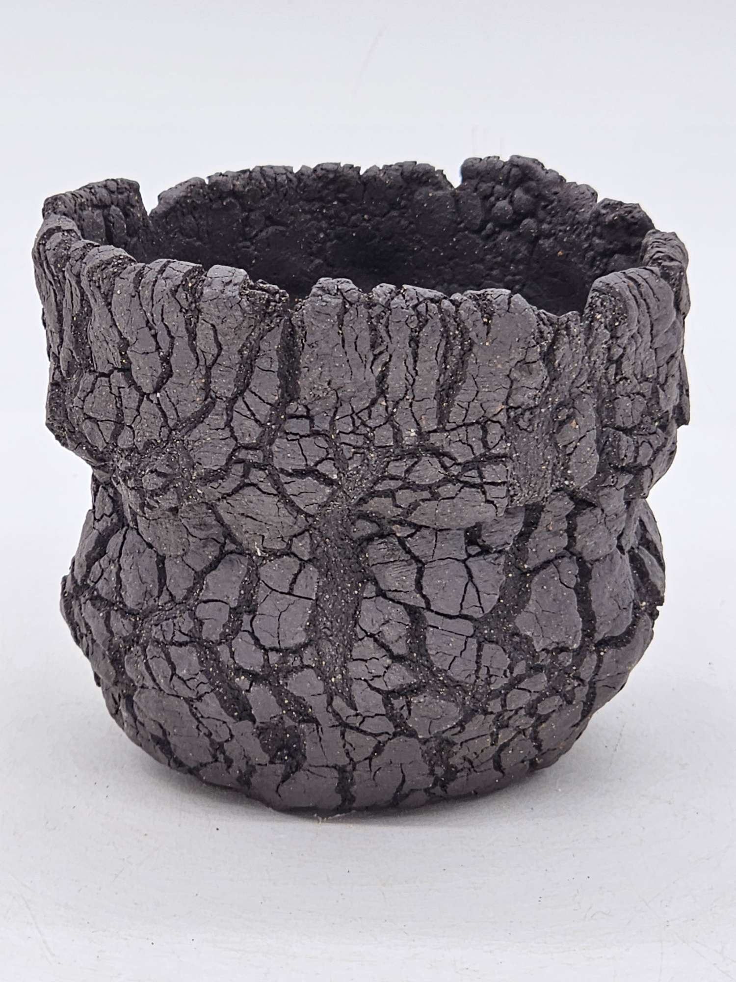 Cooked Earth