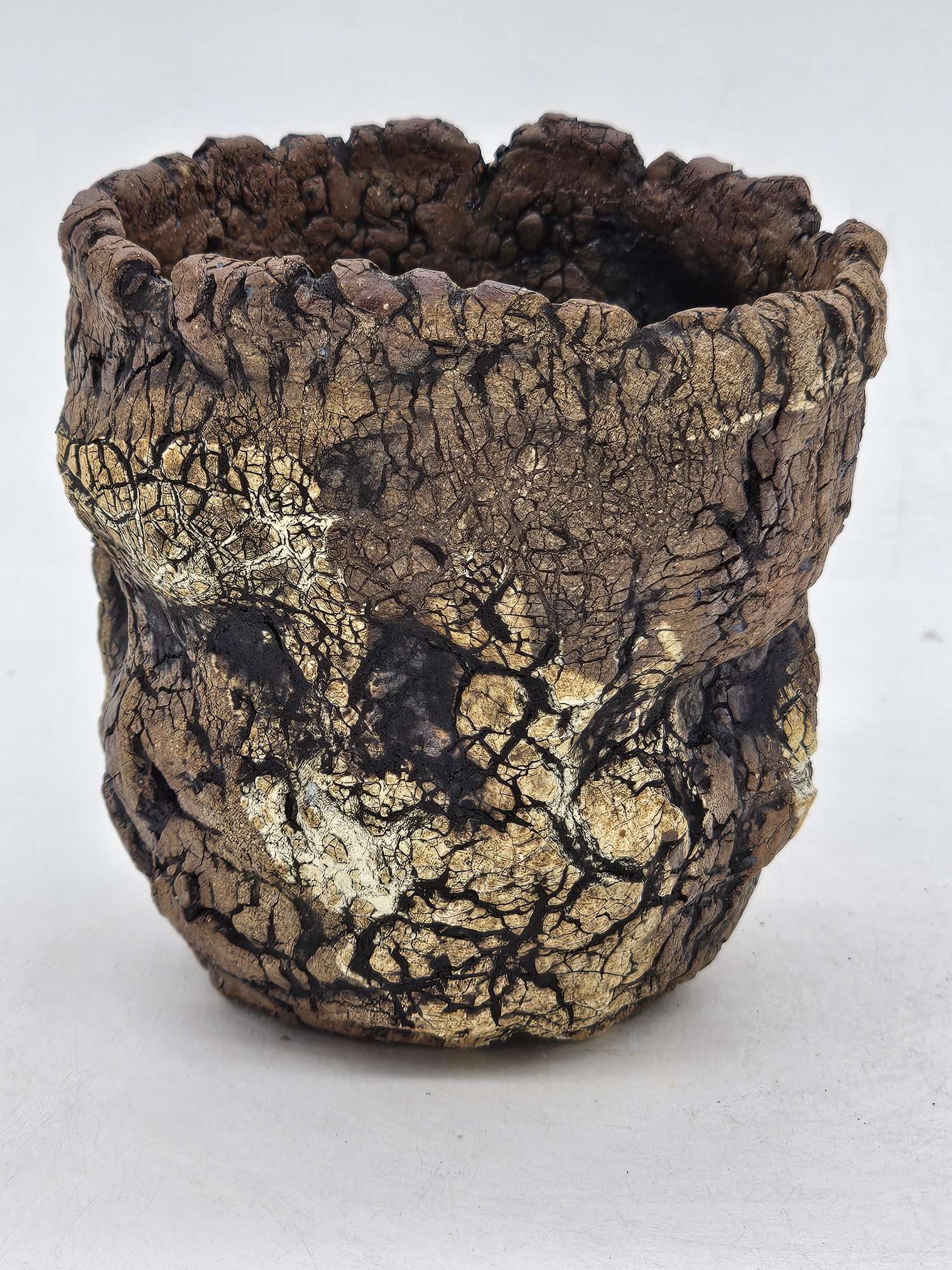 Cooked Earth