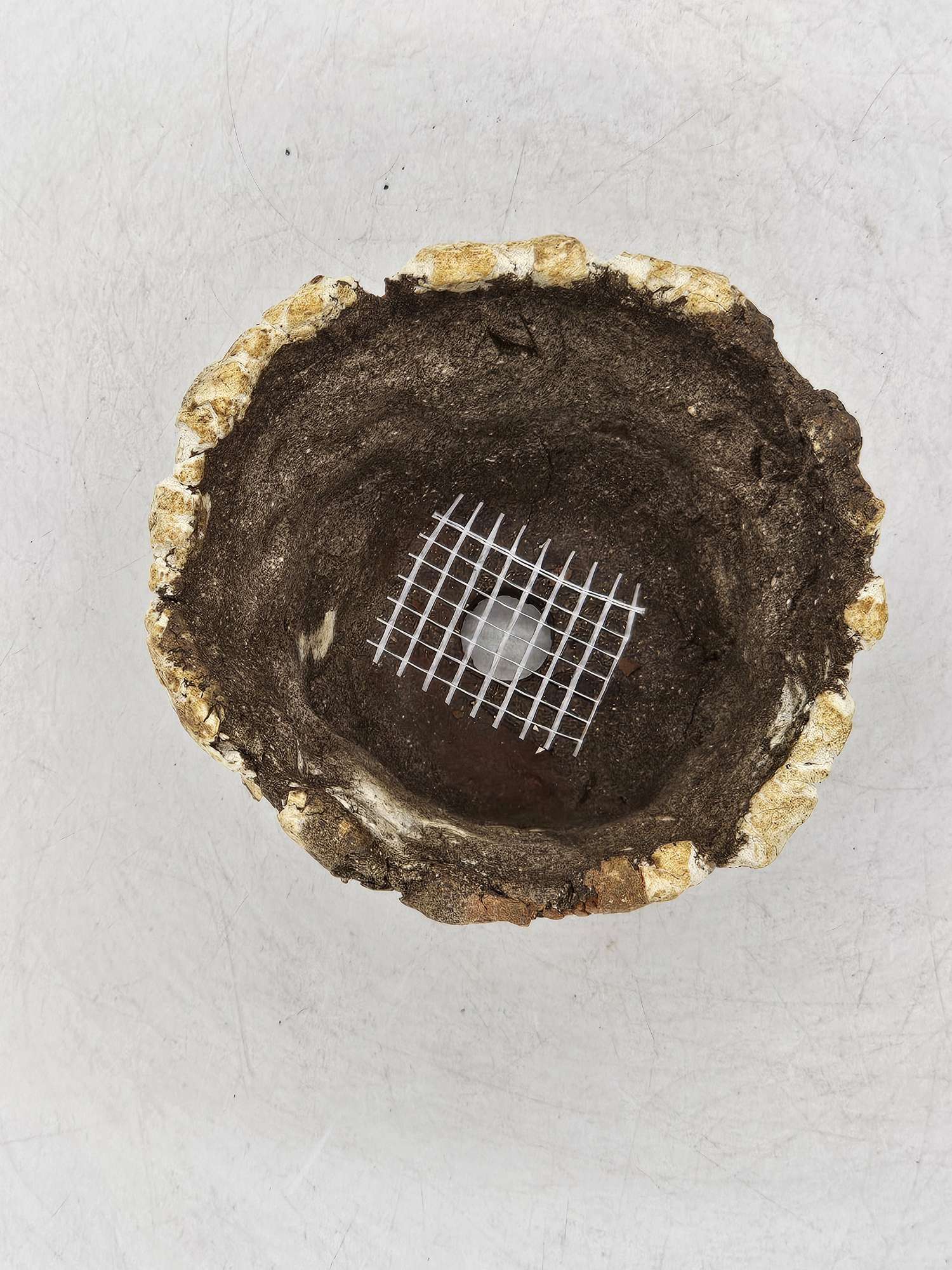 Cooked Earth