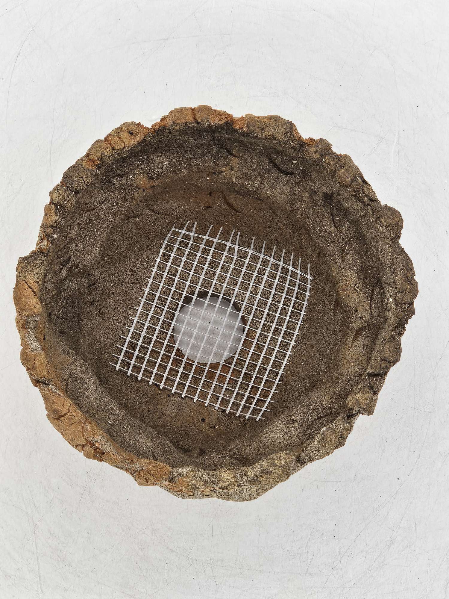 Cooked Earth