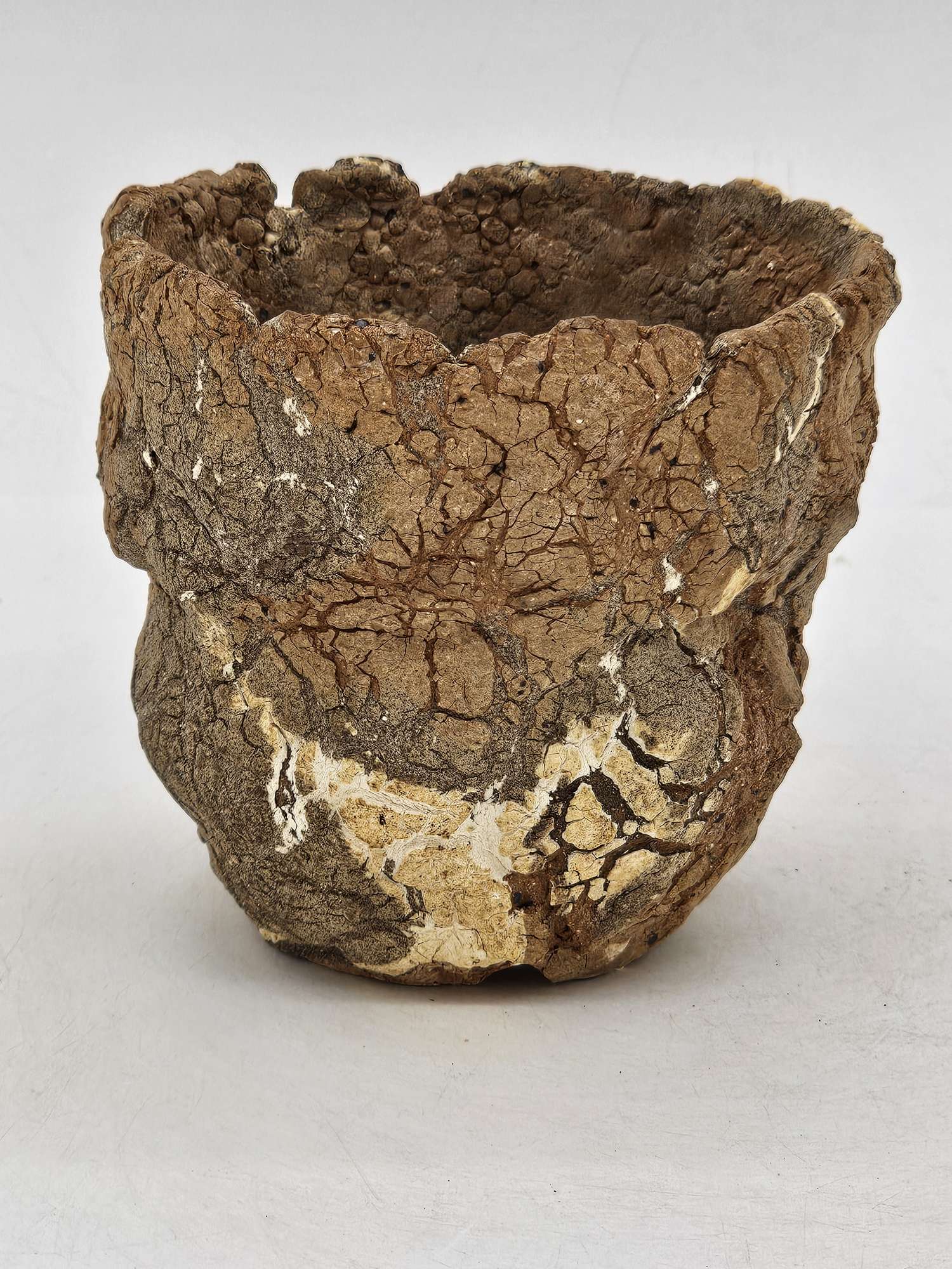 Cooked Earth