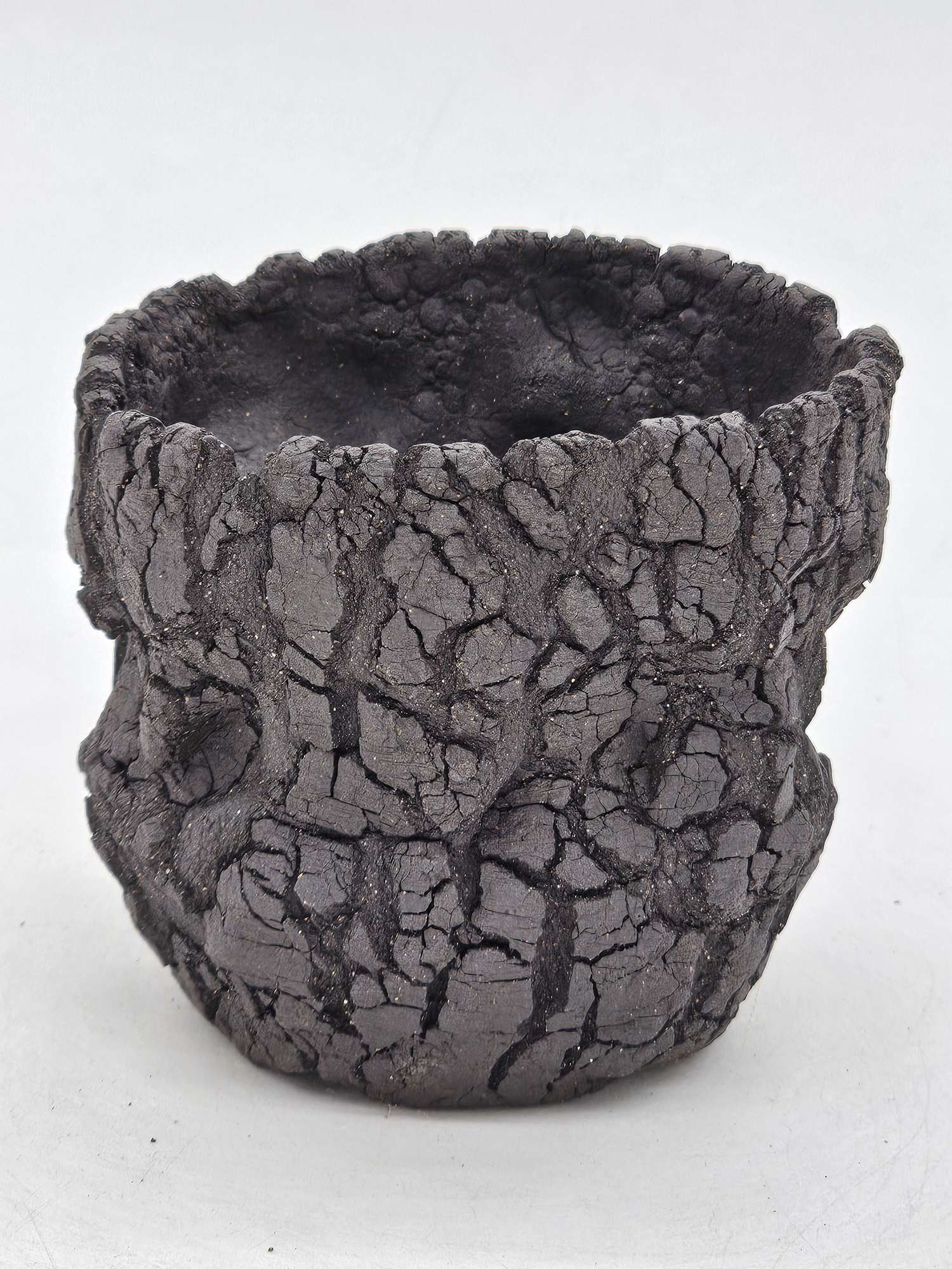 Cooked Earth