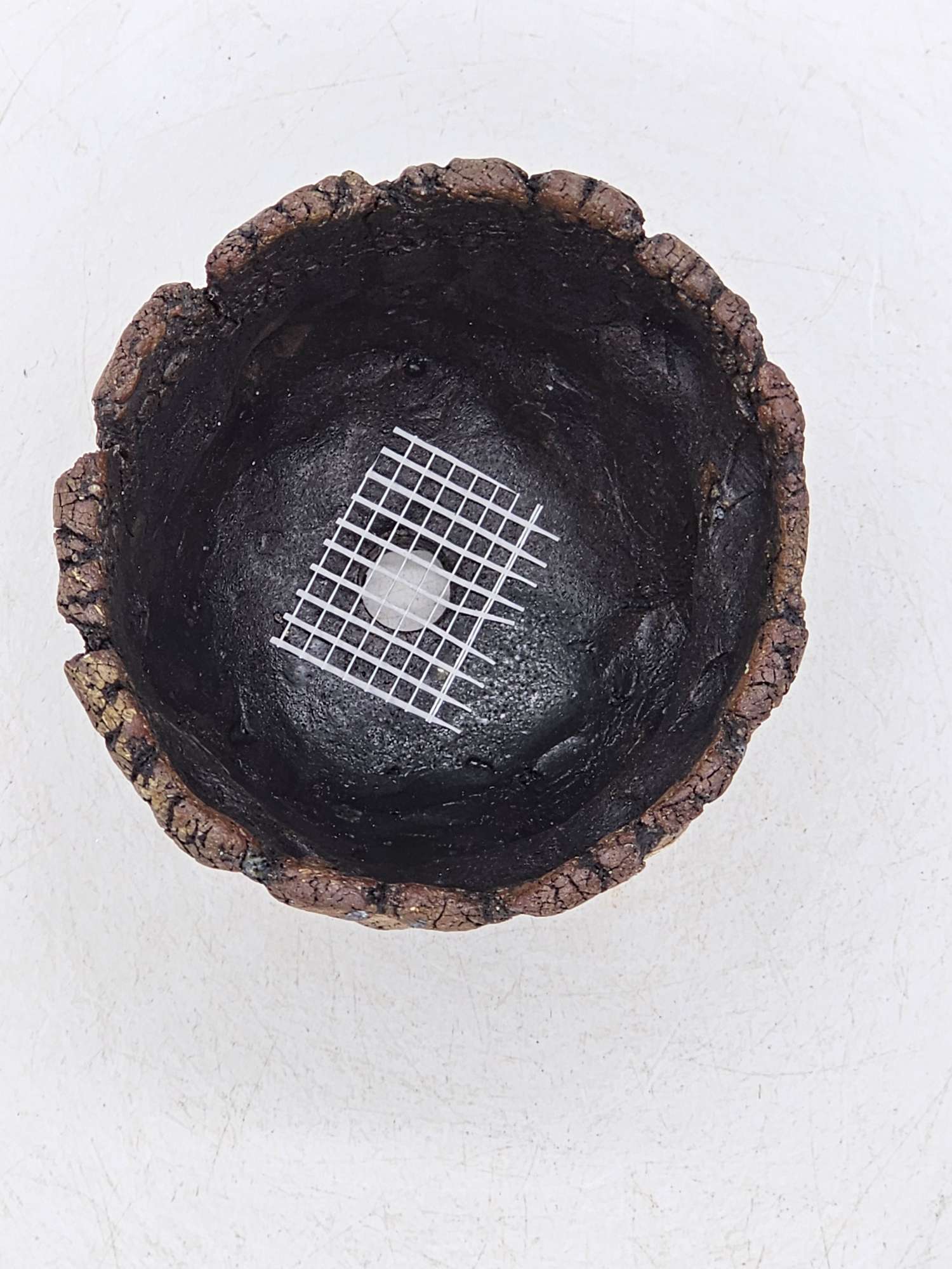 Cooked Earth
