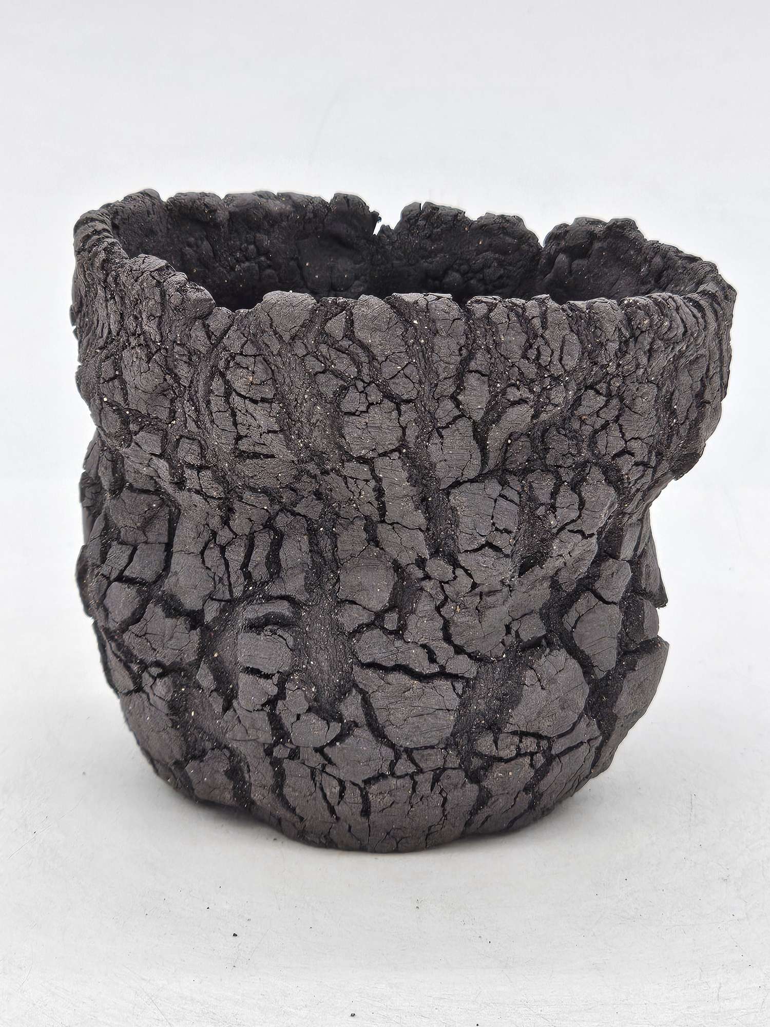 Cooked Earth
