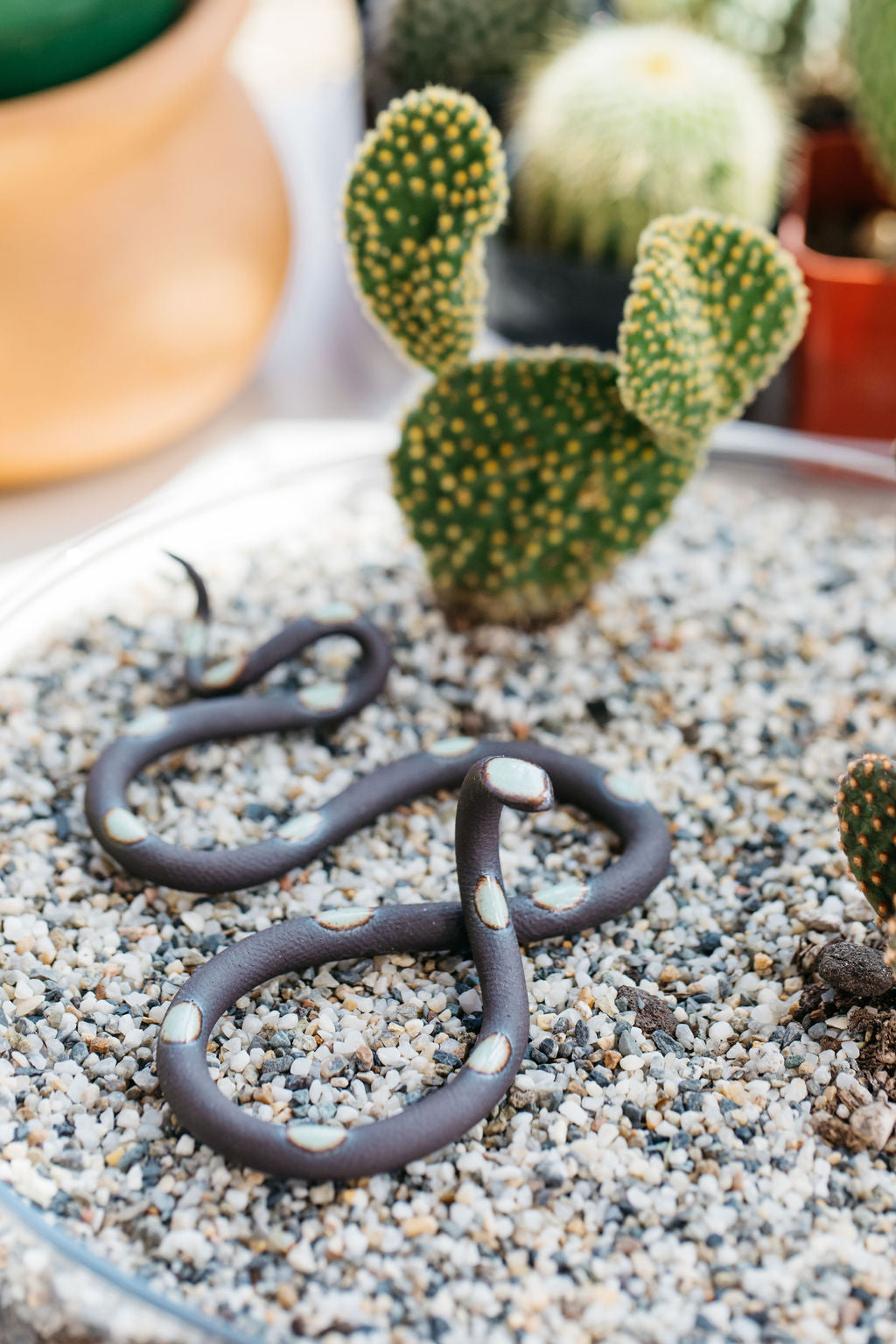 Small Ceramic Snake