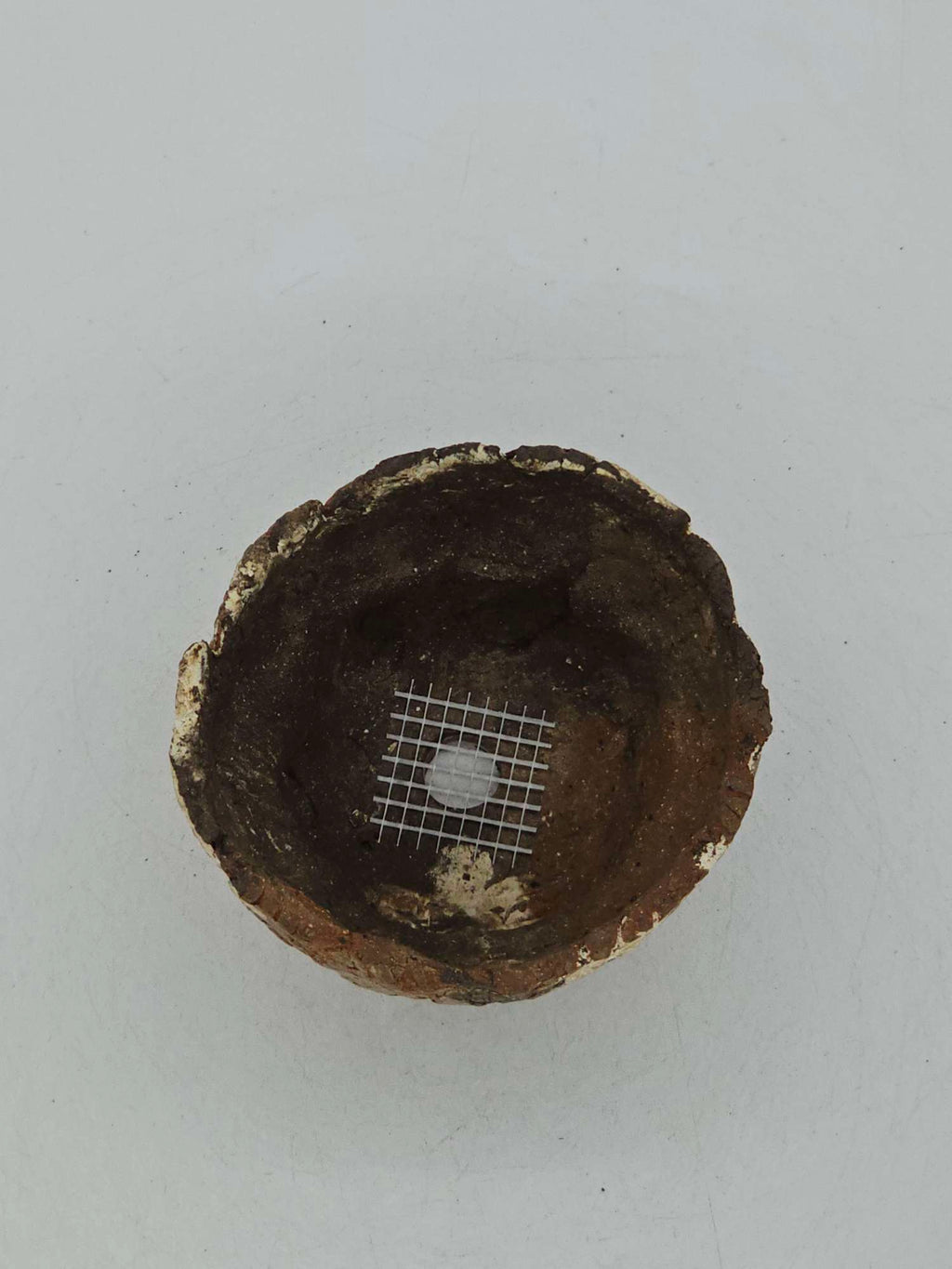 Cooked Earth