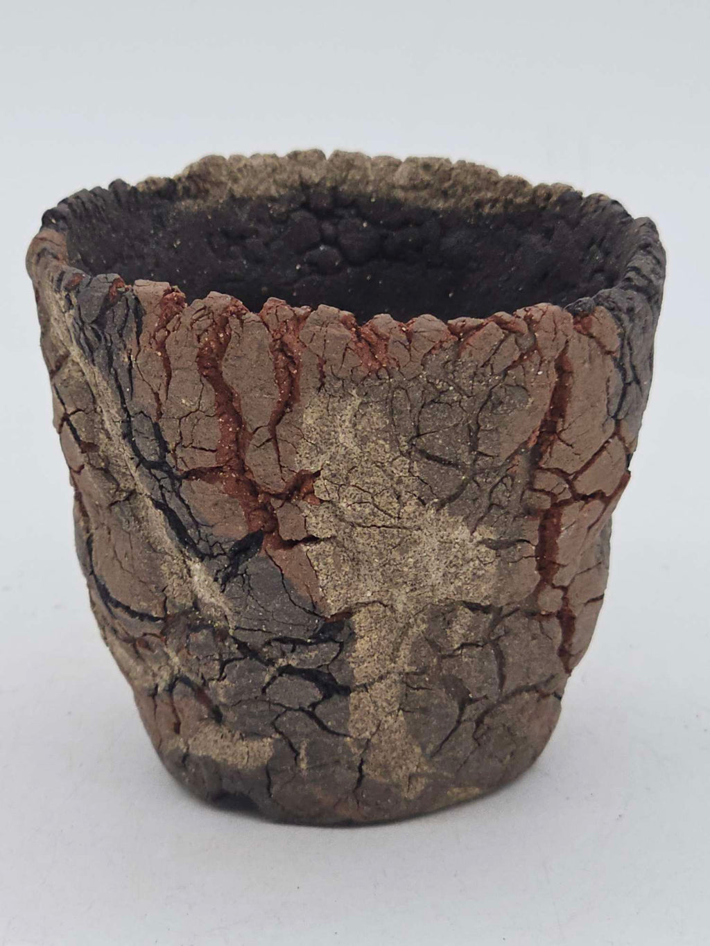 Cooked Earth