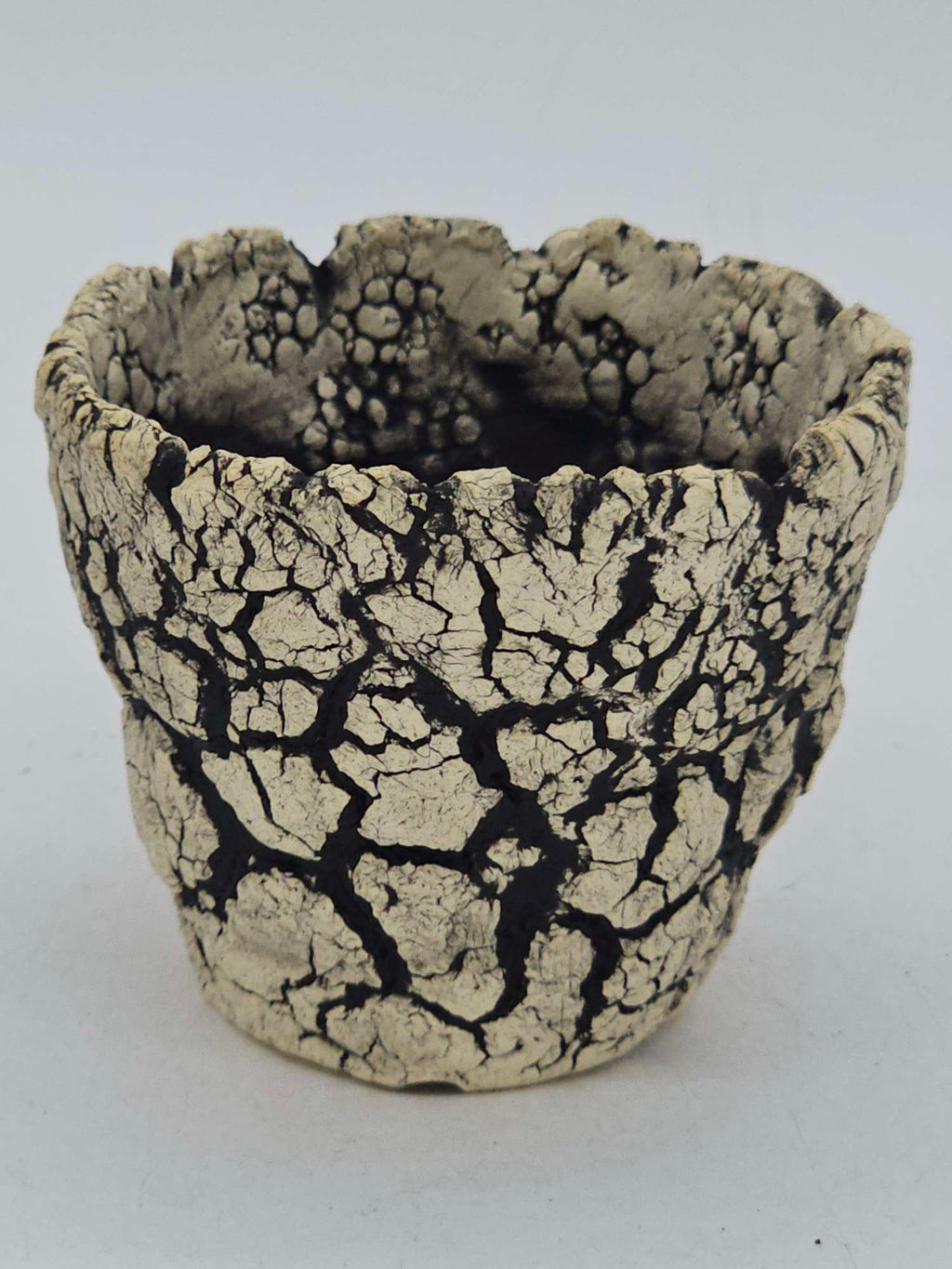 Cooked Earth