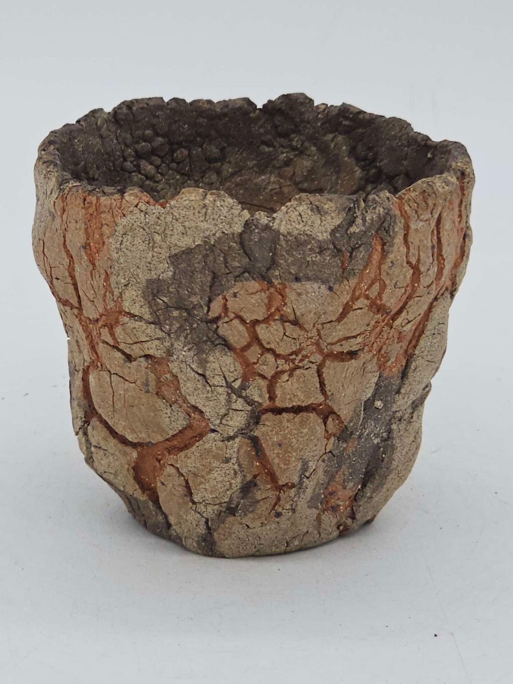 Cooked Earth