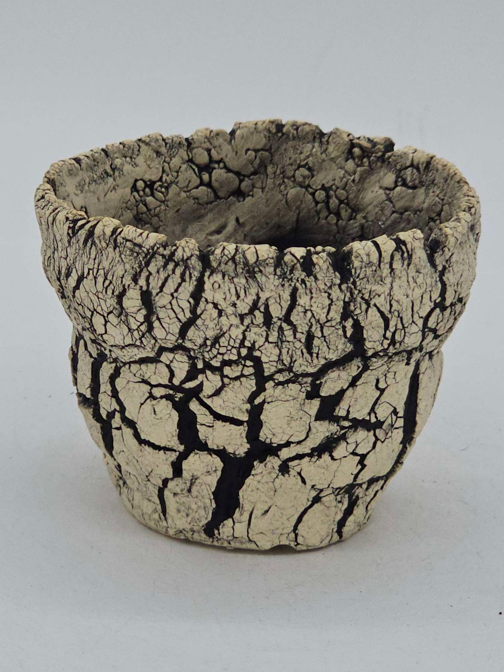 Cooked Earth