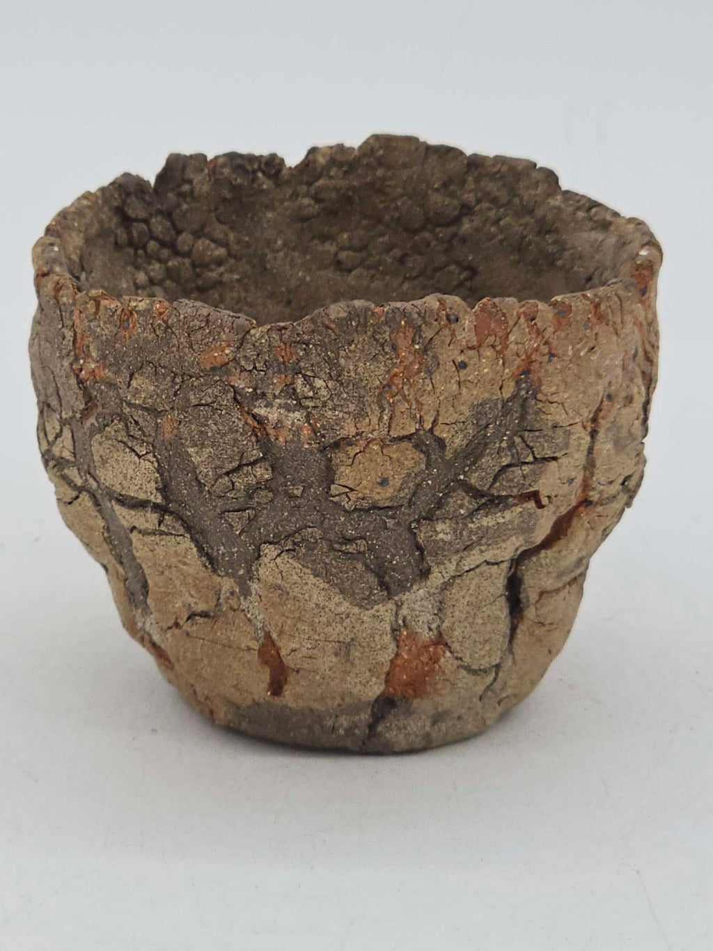 Cooked Earth