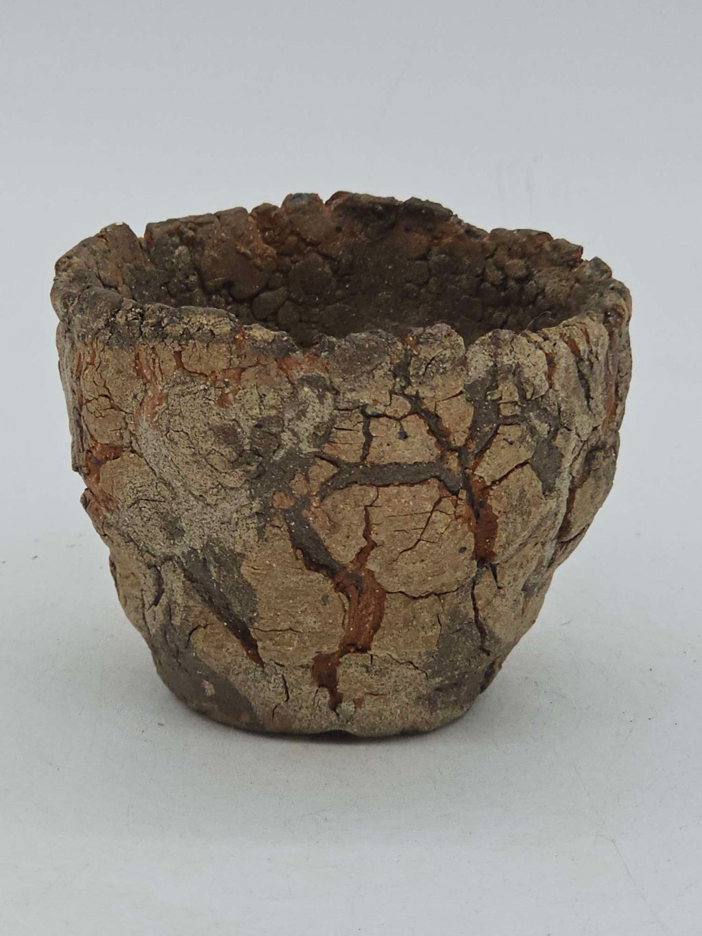 Cooked Earth