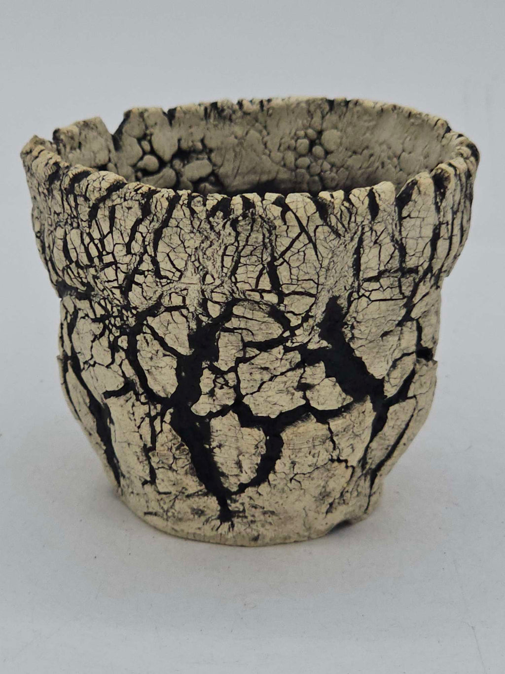 Cooked Earth
