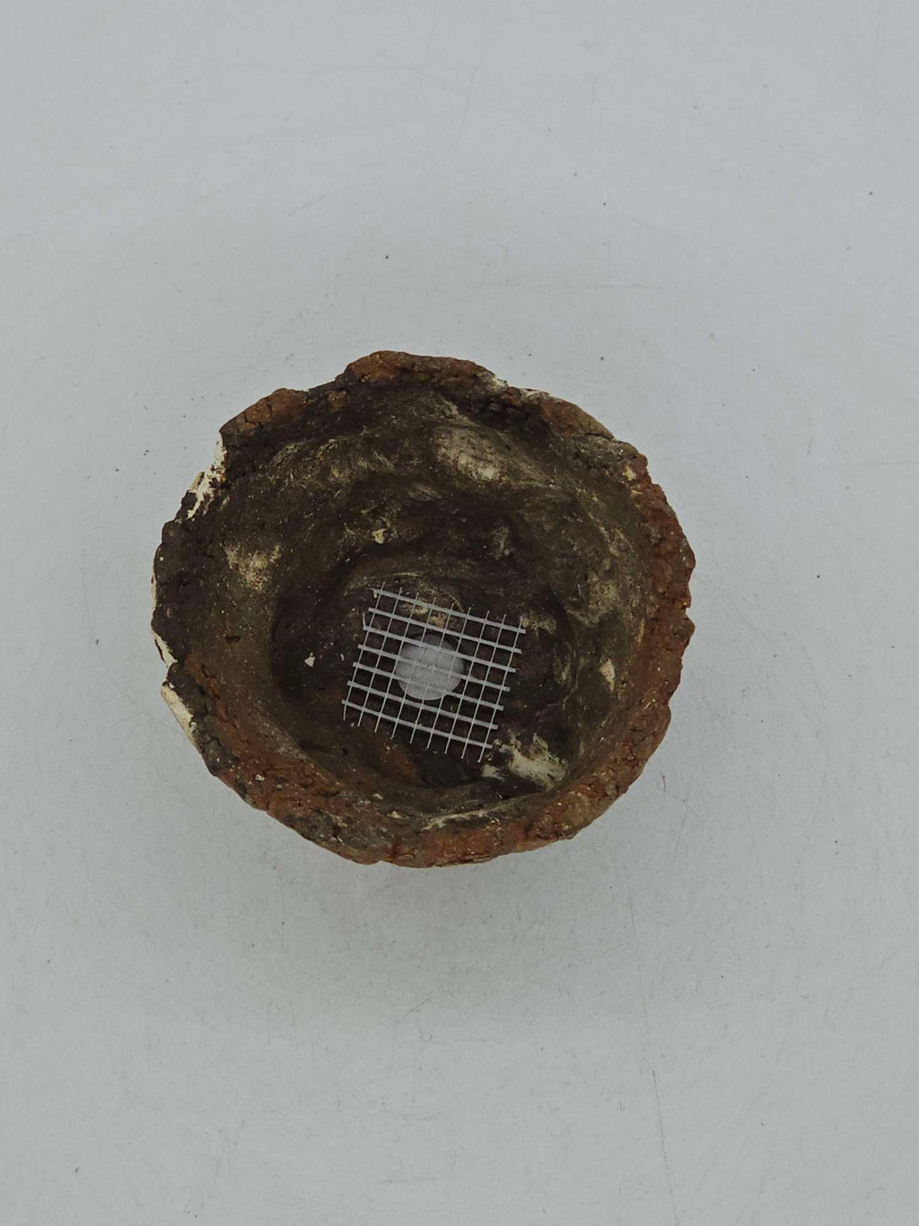 Cooked Earth