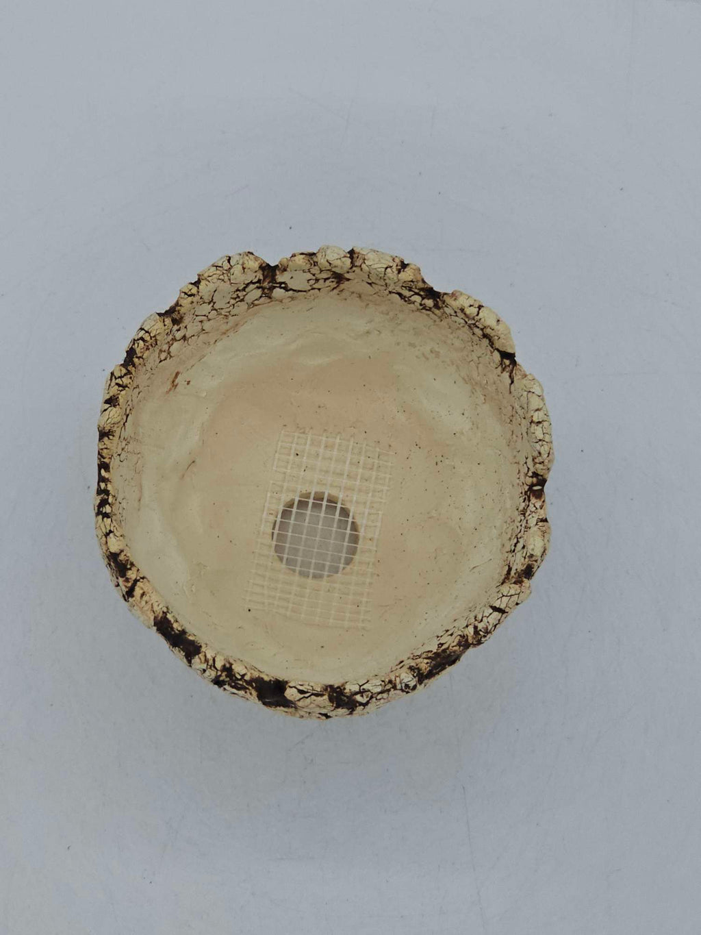 Cooked Earth
