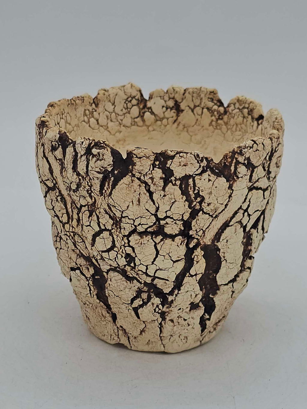 Cooked Earth