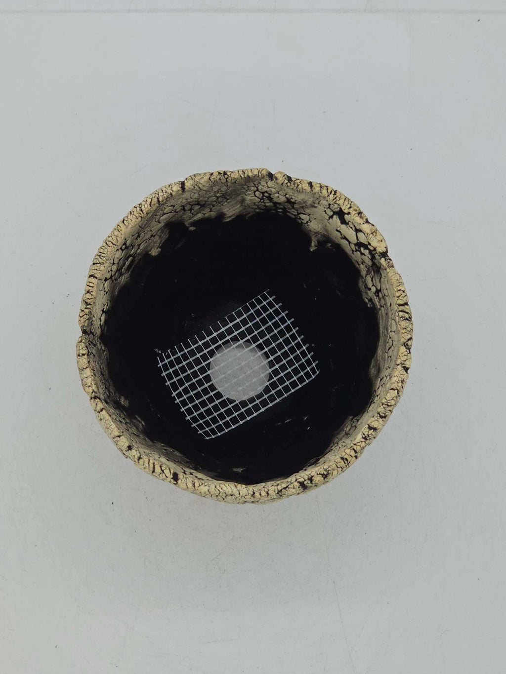 Cooked Earth