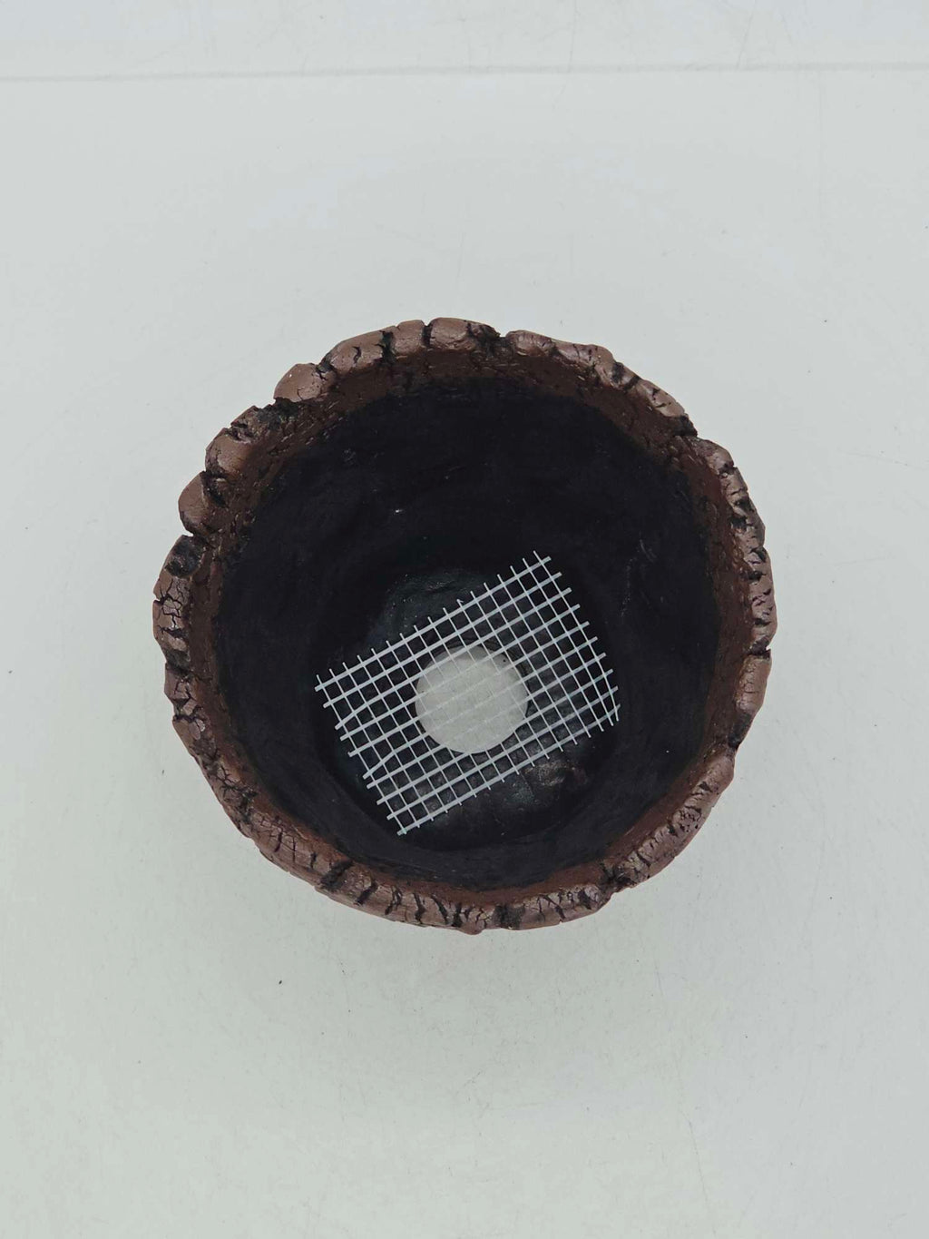 Cooked Earth