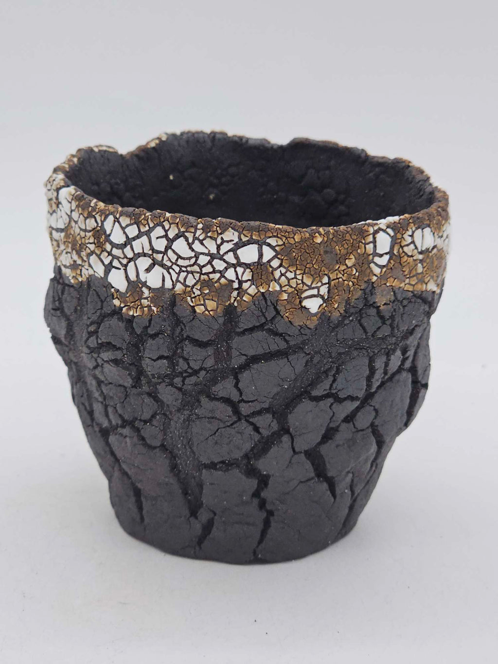 Cooked Earth