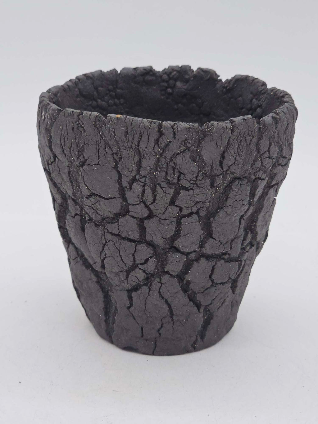 Cooked Earth