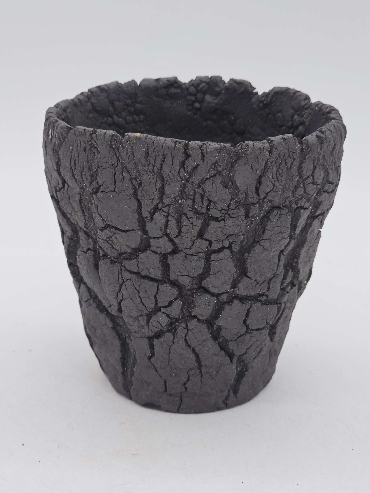 Cooked Earth