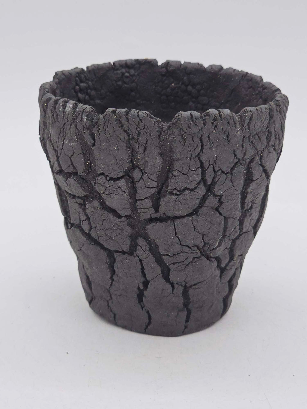 Cooked Earth