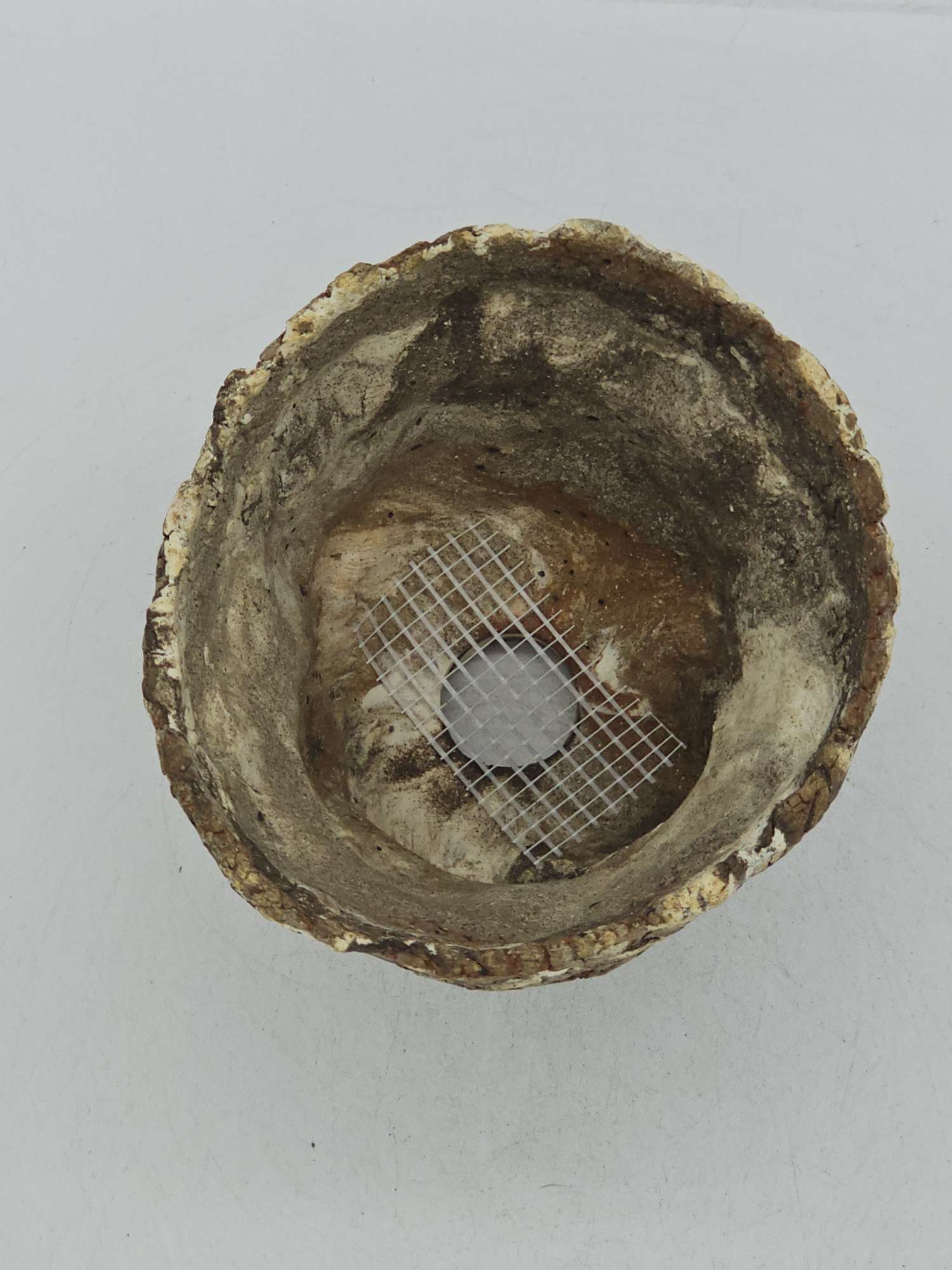Cooked Earth