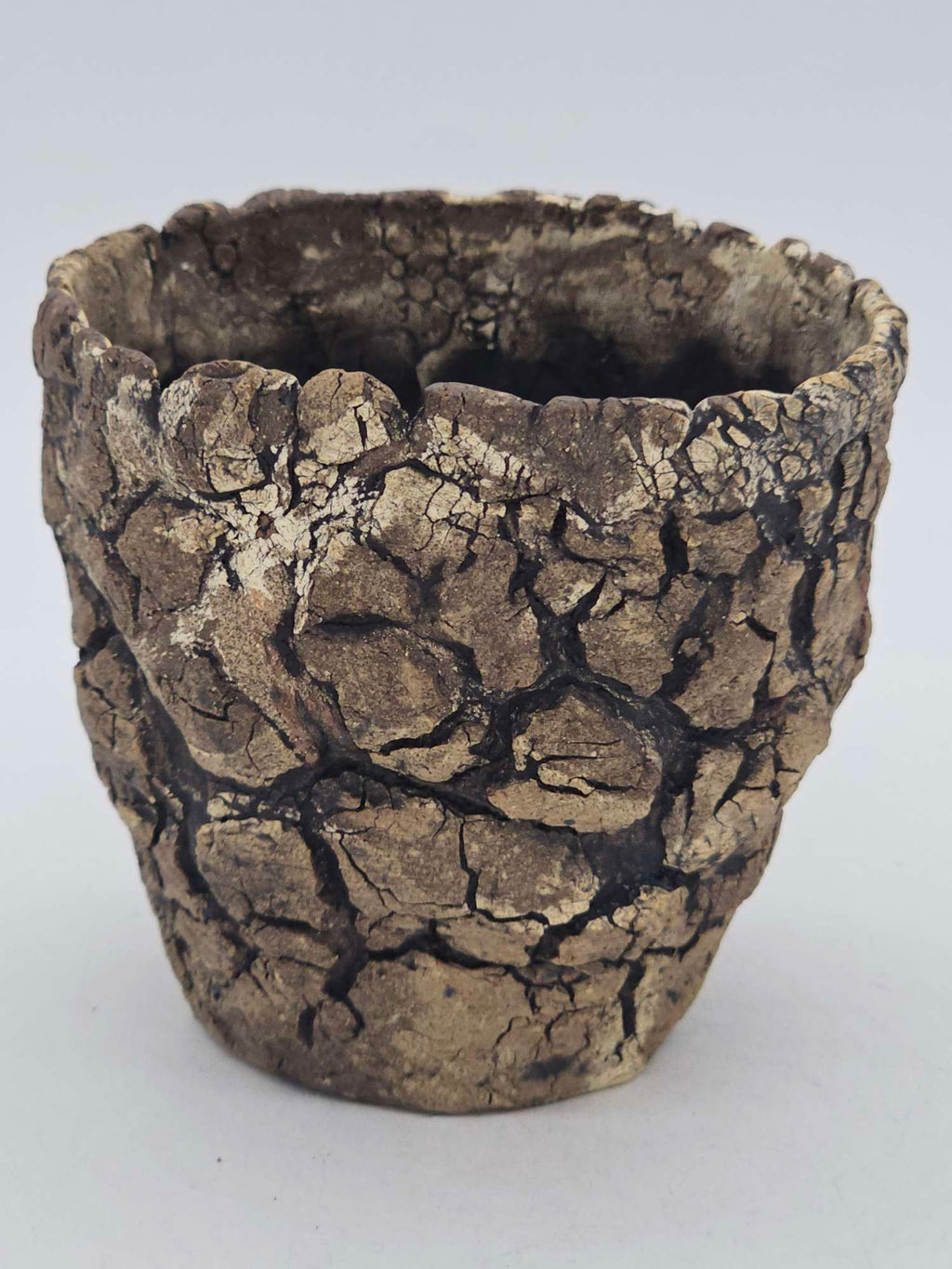 Cooked Earth