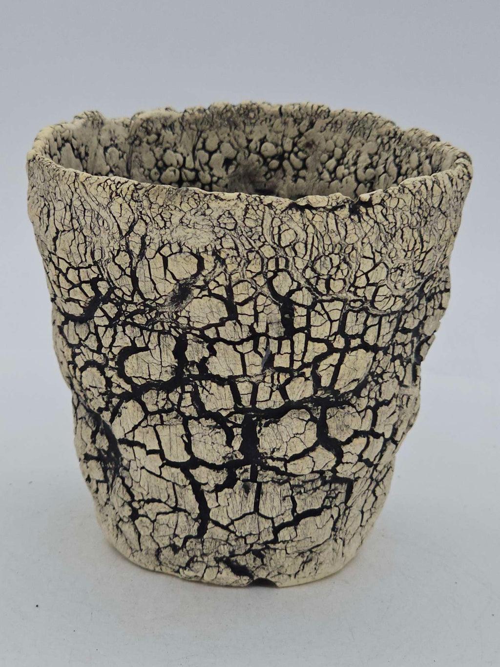 Cooked Earth